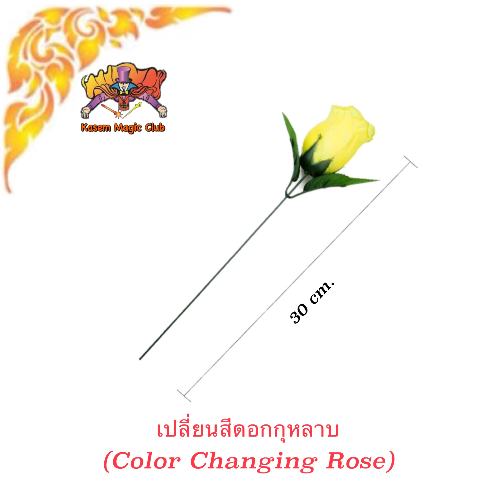 อุปกรณ์มายากล เปลี่ยนสีดอกกุหลาบ (Color Changing Rose)