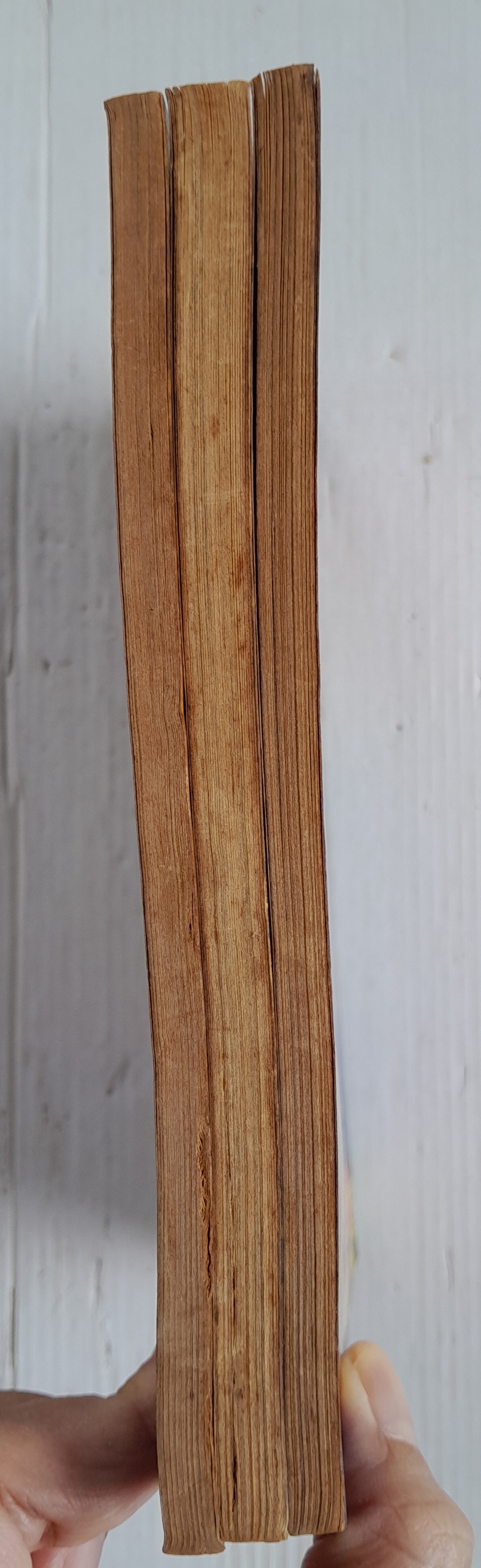 ทัวร์ริ่งเอ็กซ์เพรส 3 เล่มจบ / Kawasou Masumi