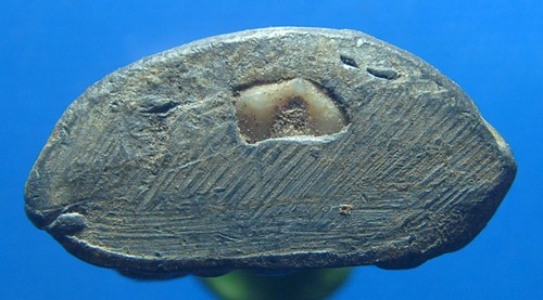 หลวงพ่อดำ วัดกุฎี