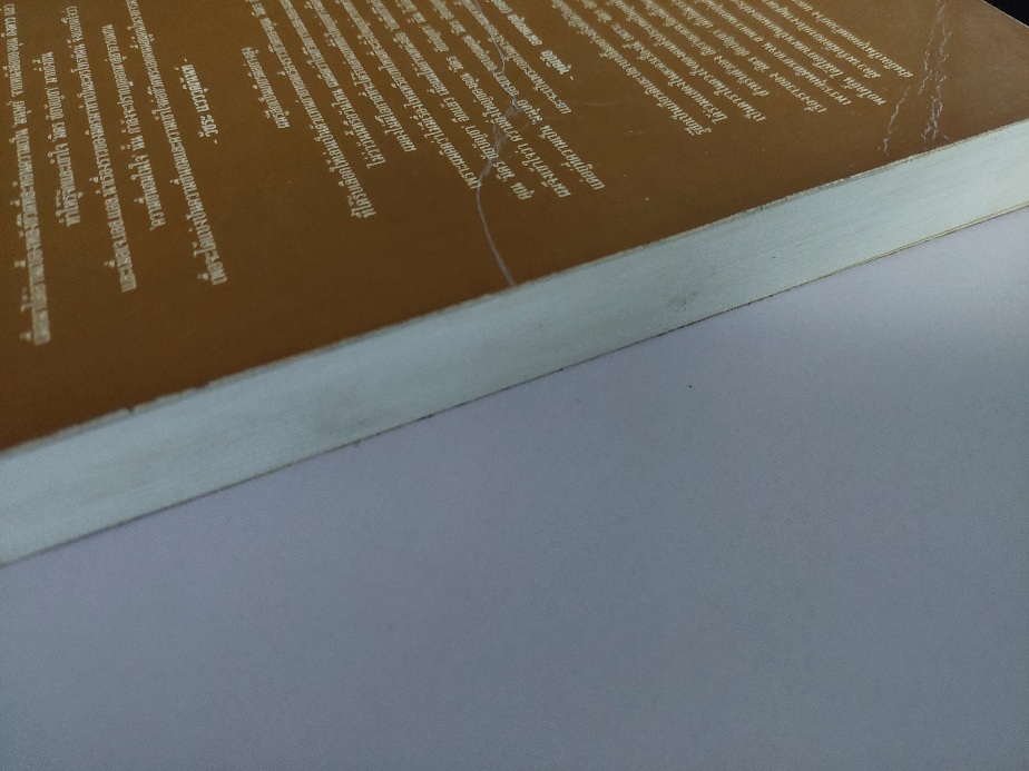 บันทึกชีวิตรัก มิตร ชัยบัญชา / กิ่งดาว ดารณี [ปกอ่อน]