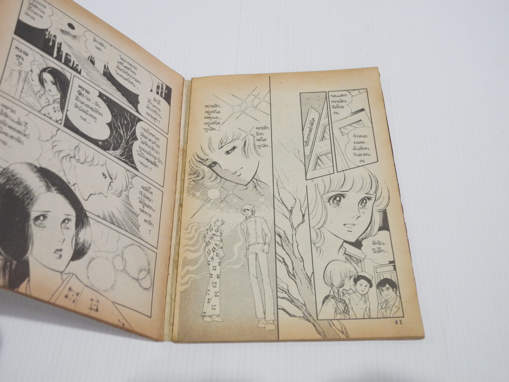 สองดรุณี เล่ม 9 (เล่มจบ) / ซาโตนะกะ มาจิโกะ