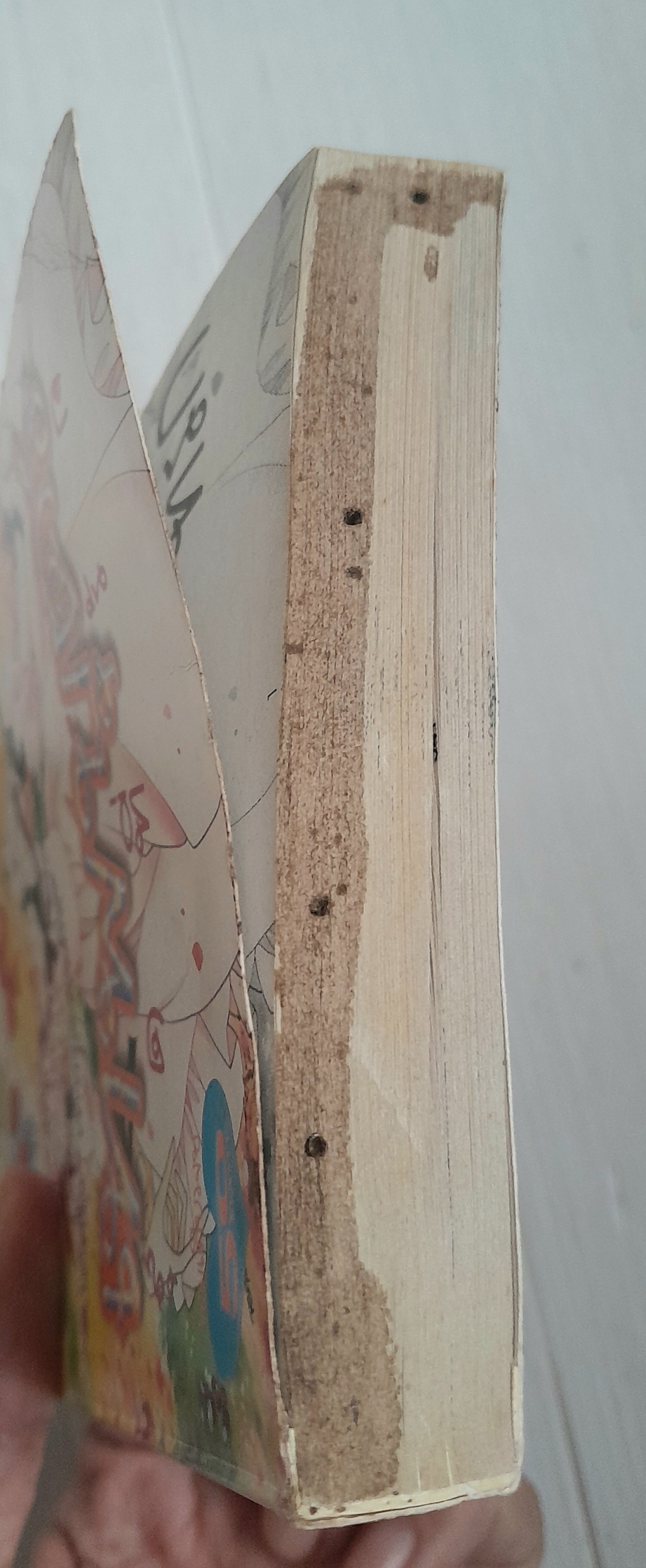 เทพบุตรสุดที่รัก (เล่มเดียวจบ) / ริโยโกะ อิเคดะ