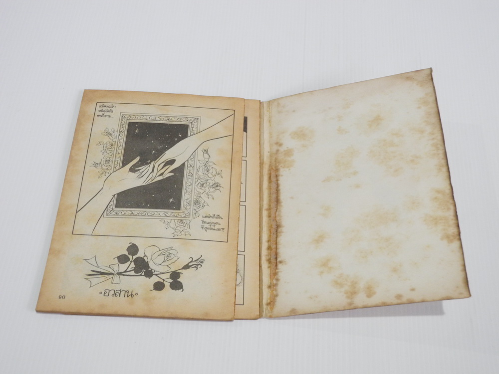 สองดรุณี เล่ม 9 (เล่มจบ) / ซาโตนะกะ มาจิโกะ