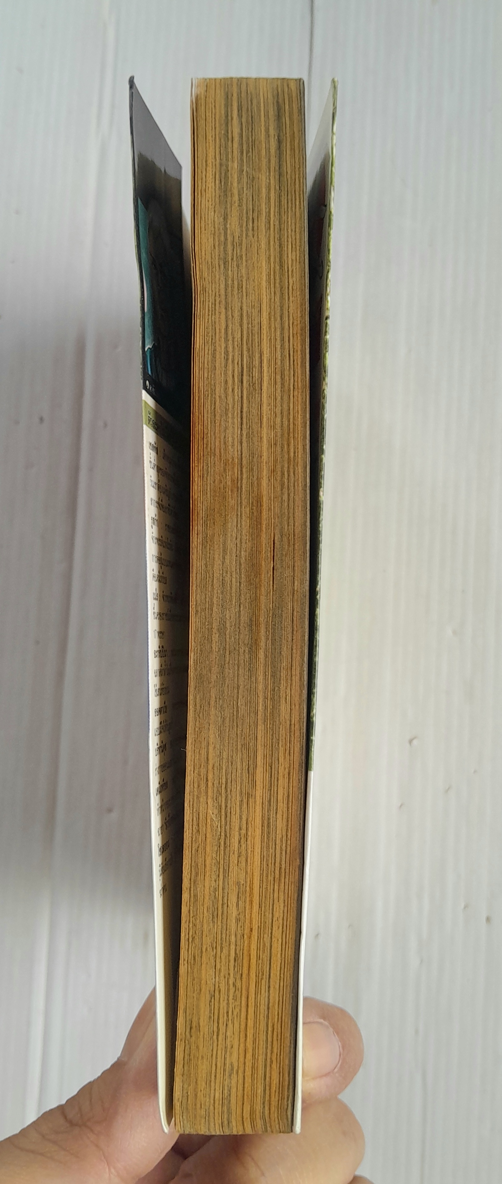 จอมหมัดสนับเหล็ก เซสทัส เล่ม 15 (15 เล่มจบ) / ชิซึระ วาซาไร