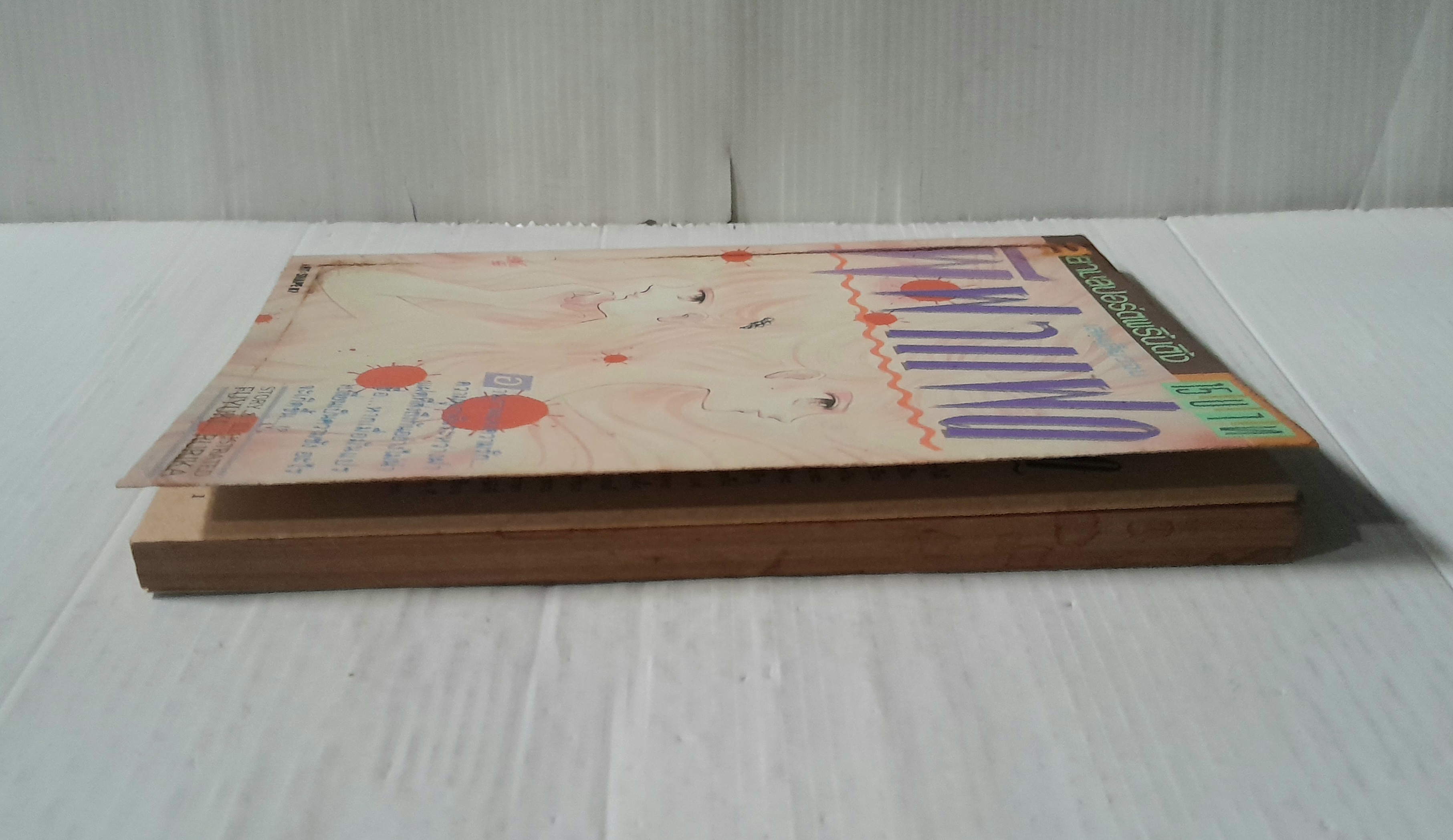 ผีฝาแฝด (เล่มเดียวจบ) / Fuyuki Rurika