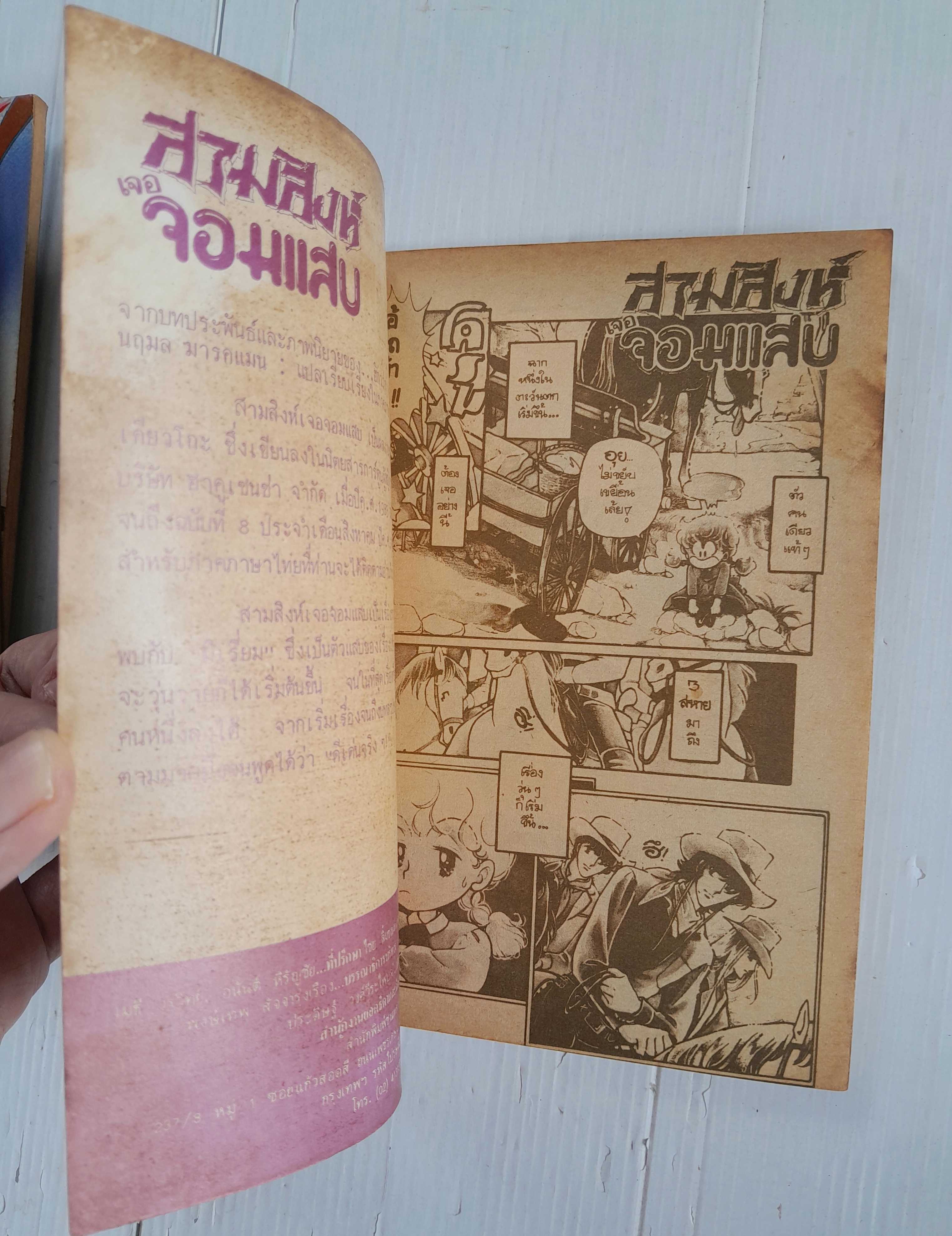 สามสิงห์เจอจอมแสบ 4 เล่มจบ / ฮิคาวะ เคียวโกะ