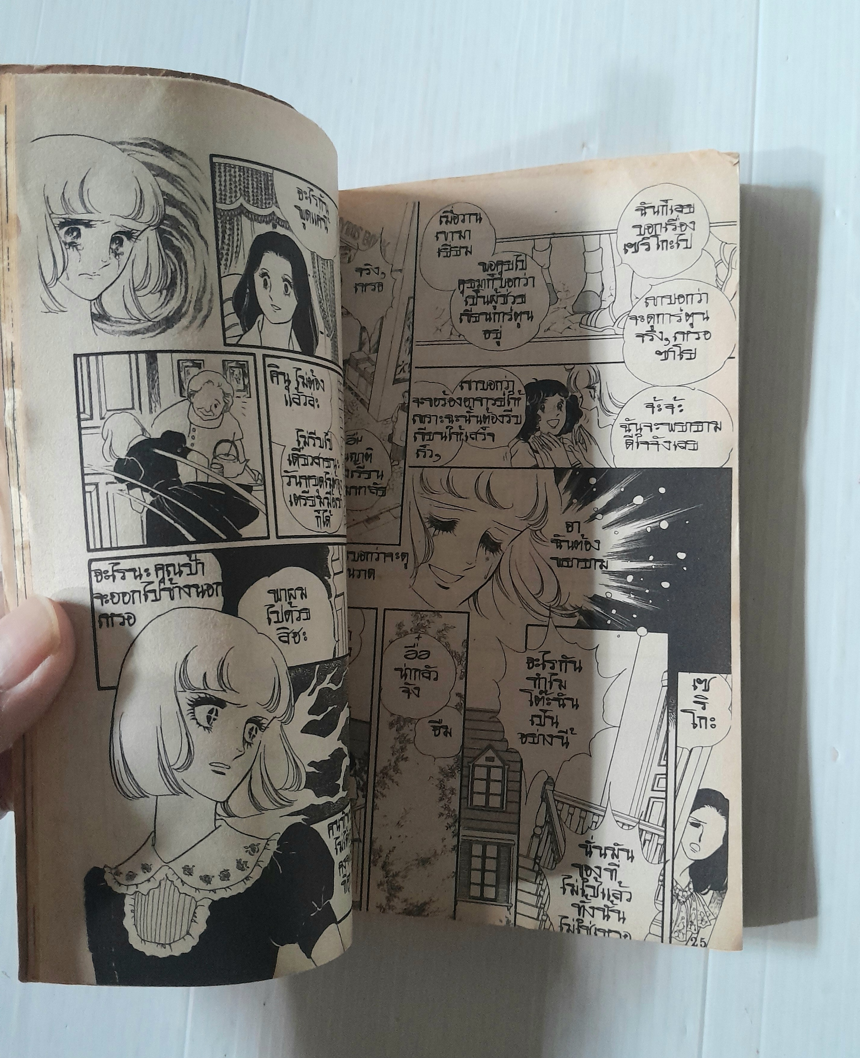 ฟ้าหลังฝน (เล่มเดียวจบ) / Riyoko Ikeda