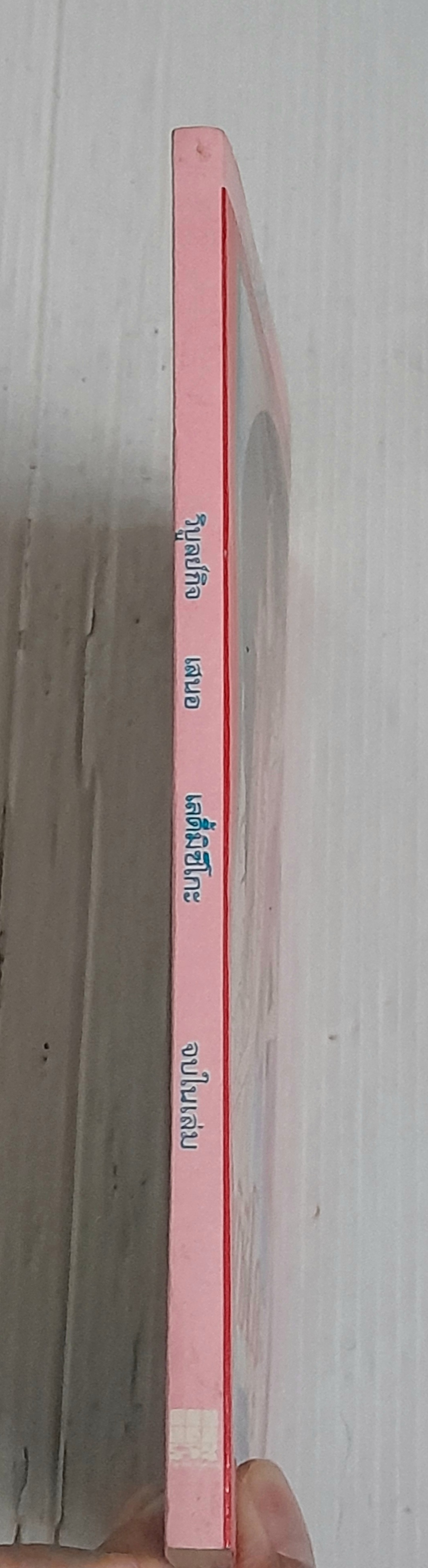 เลดี้มิซึโกะ (เล่มเดียวจบ) / Yamato Waki