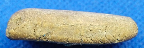 หลวงพ่ออ้น วัดบางจาก