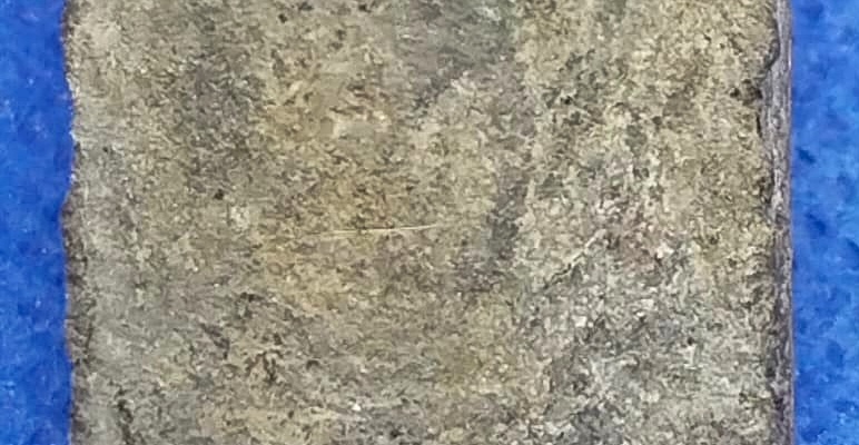 หลวงพ่อพริ้ง วัดบางปะกอก