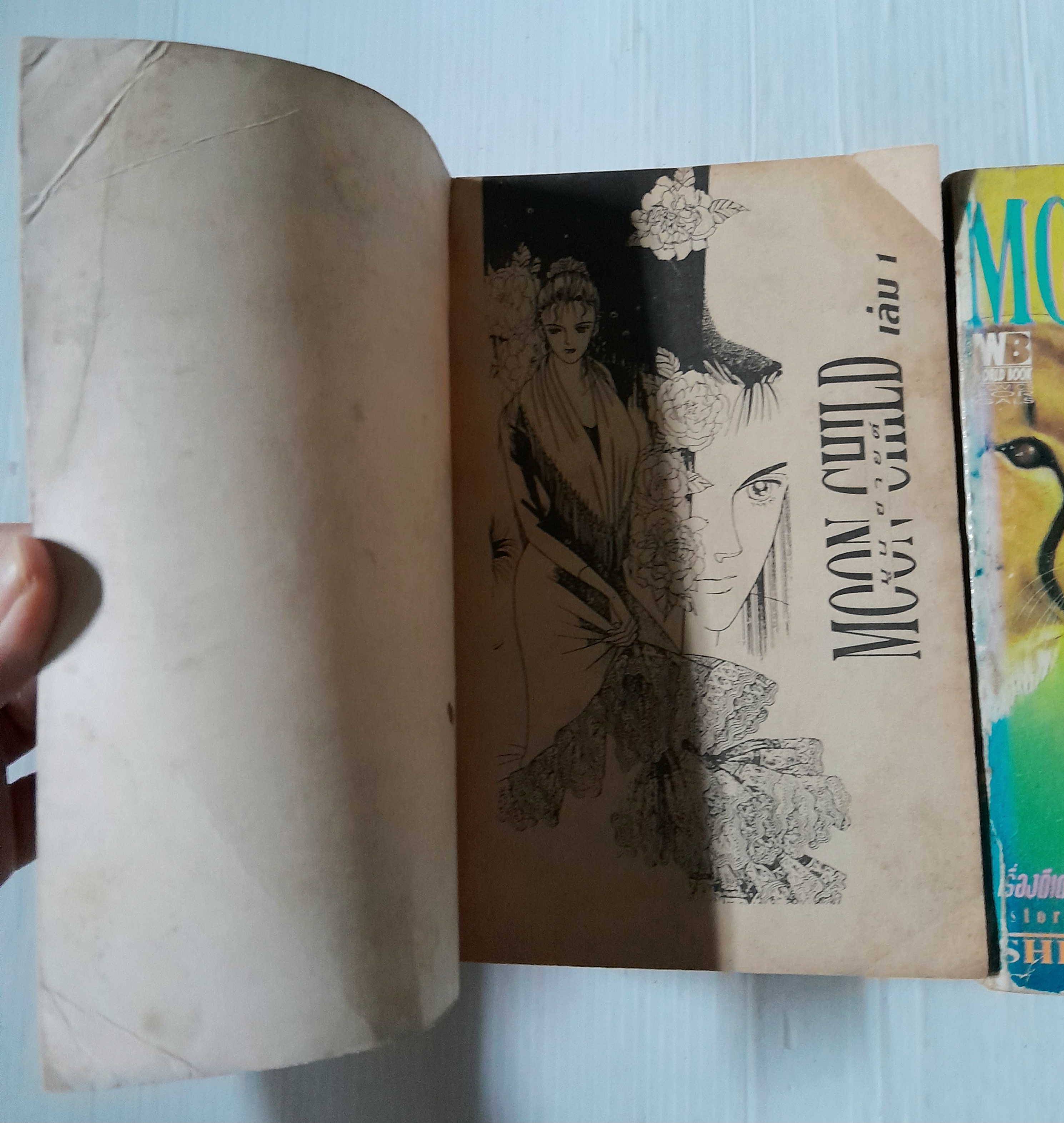 ลูกชายพระจันทร์ 3 เล่มจบ / Shimizu Reiko