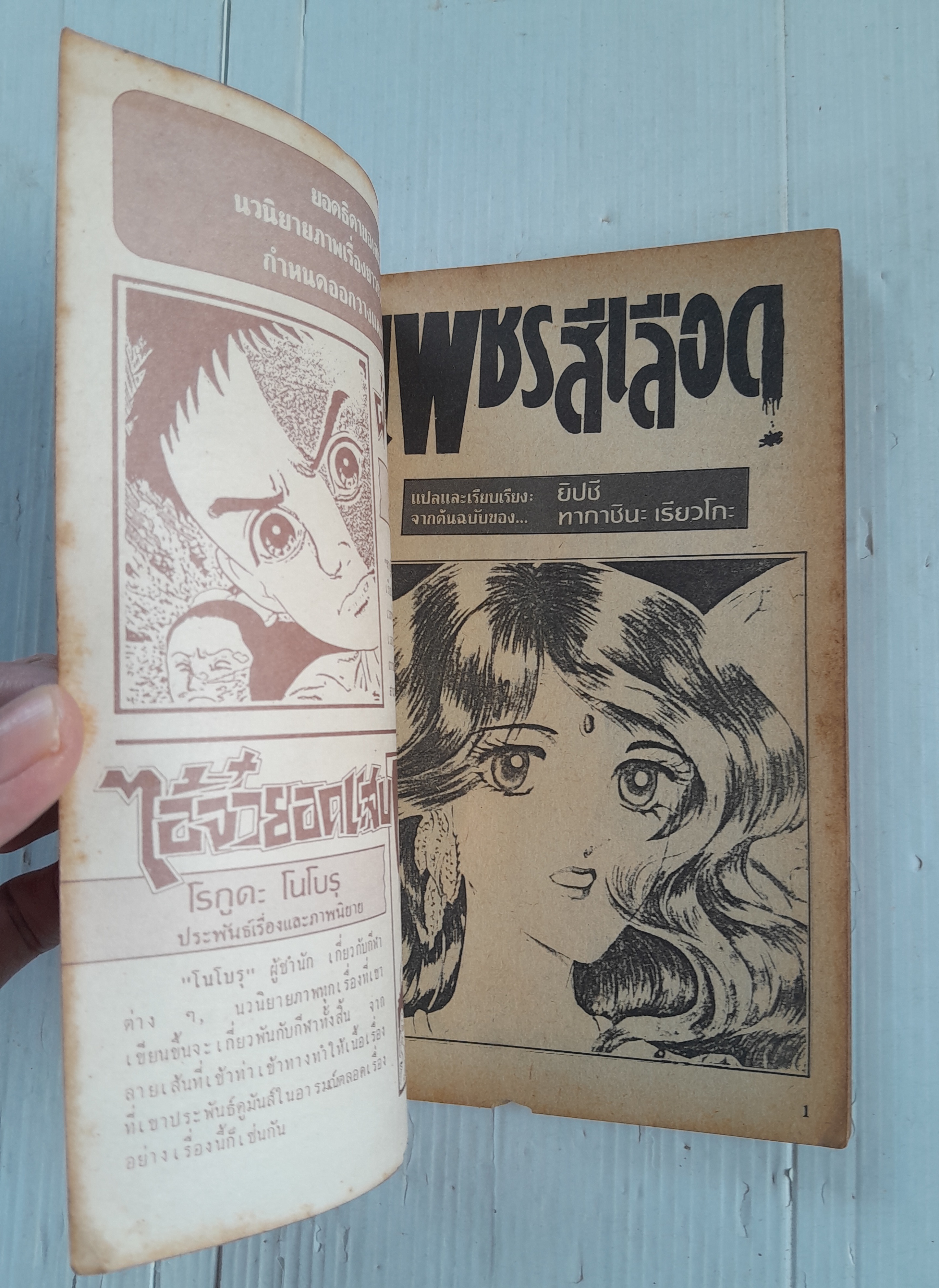 เพชรสีเลือด (เล่มเดียวจบ) / ทากาชินะ เรียวโกะ