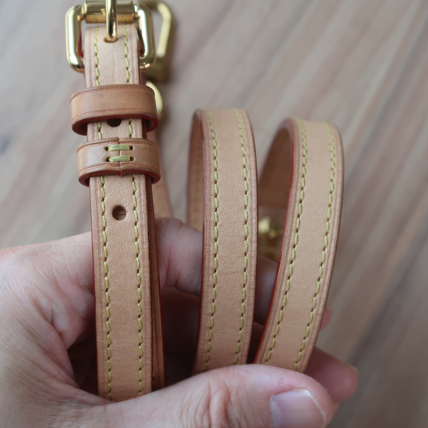 LV Monogram Vibe Bag