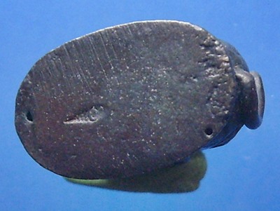 เสือหลวงพ่อชาญ วัดบางบ่อ