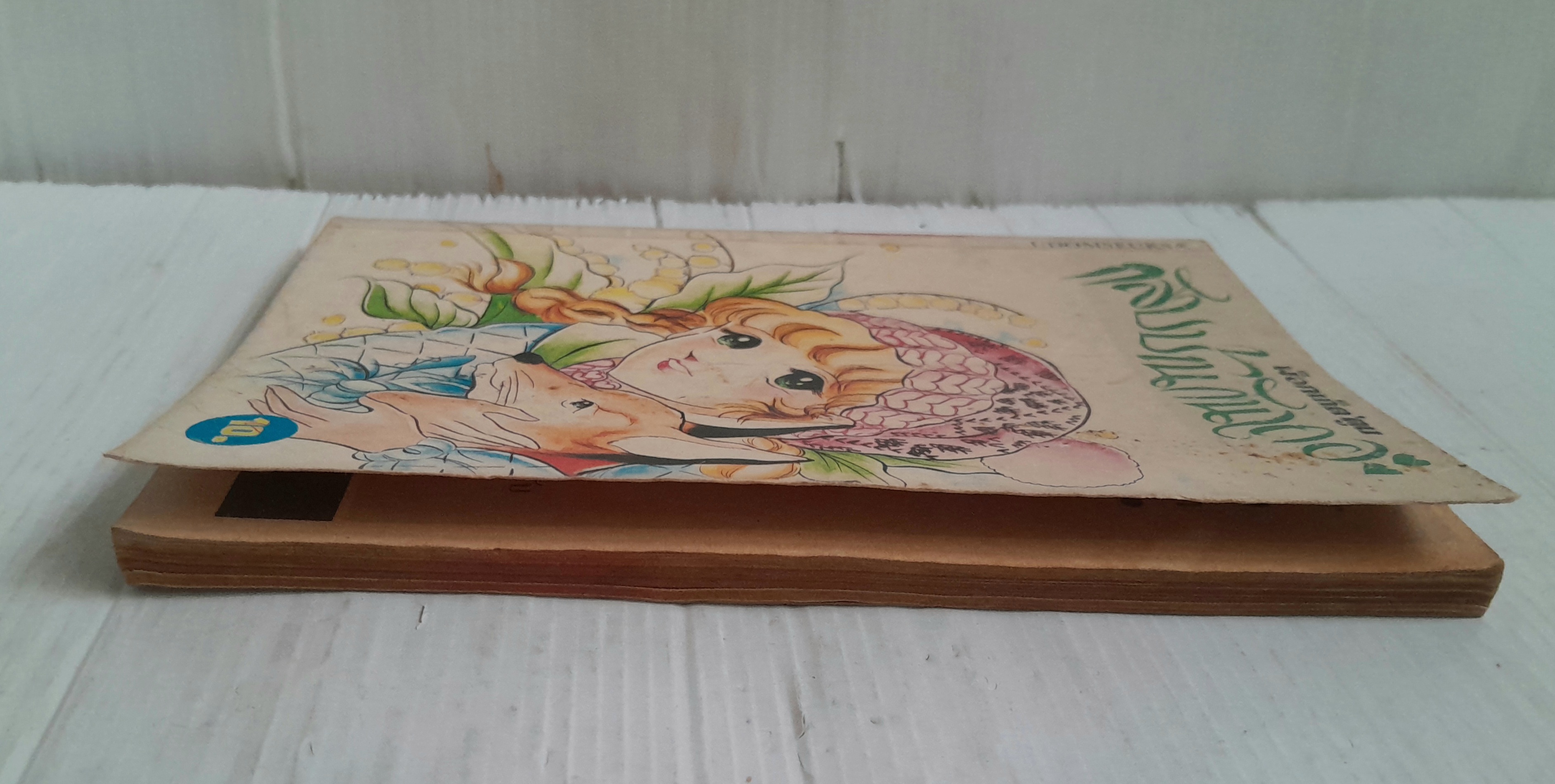 กลับบ้านกันเถอะ (เล่มเดียวจบ)