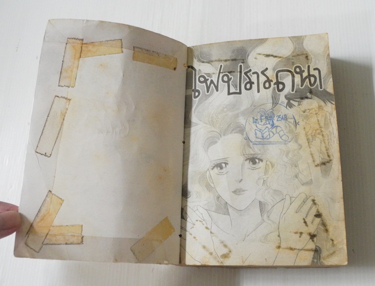 ไฟปรารถนา (เล่มเดียวจบ)