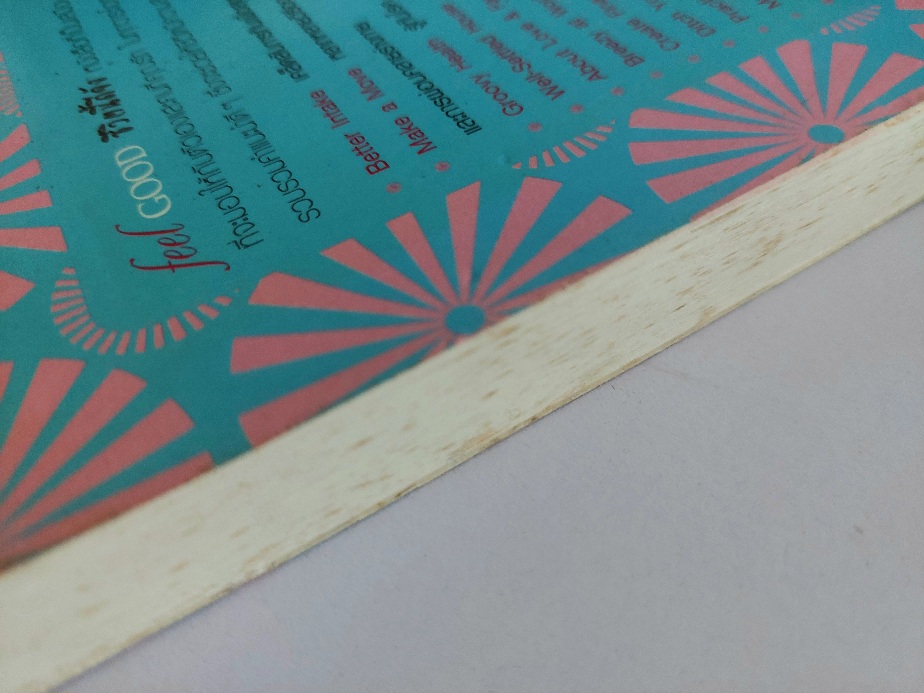 ชีวิตนี้ดีจัง Feel Good / พาเมลา แอลลาไดซ์ Pamela Allardice / ผศ.ดร. จุรีรัตน์ ดาดวง