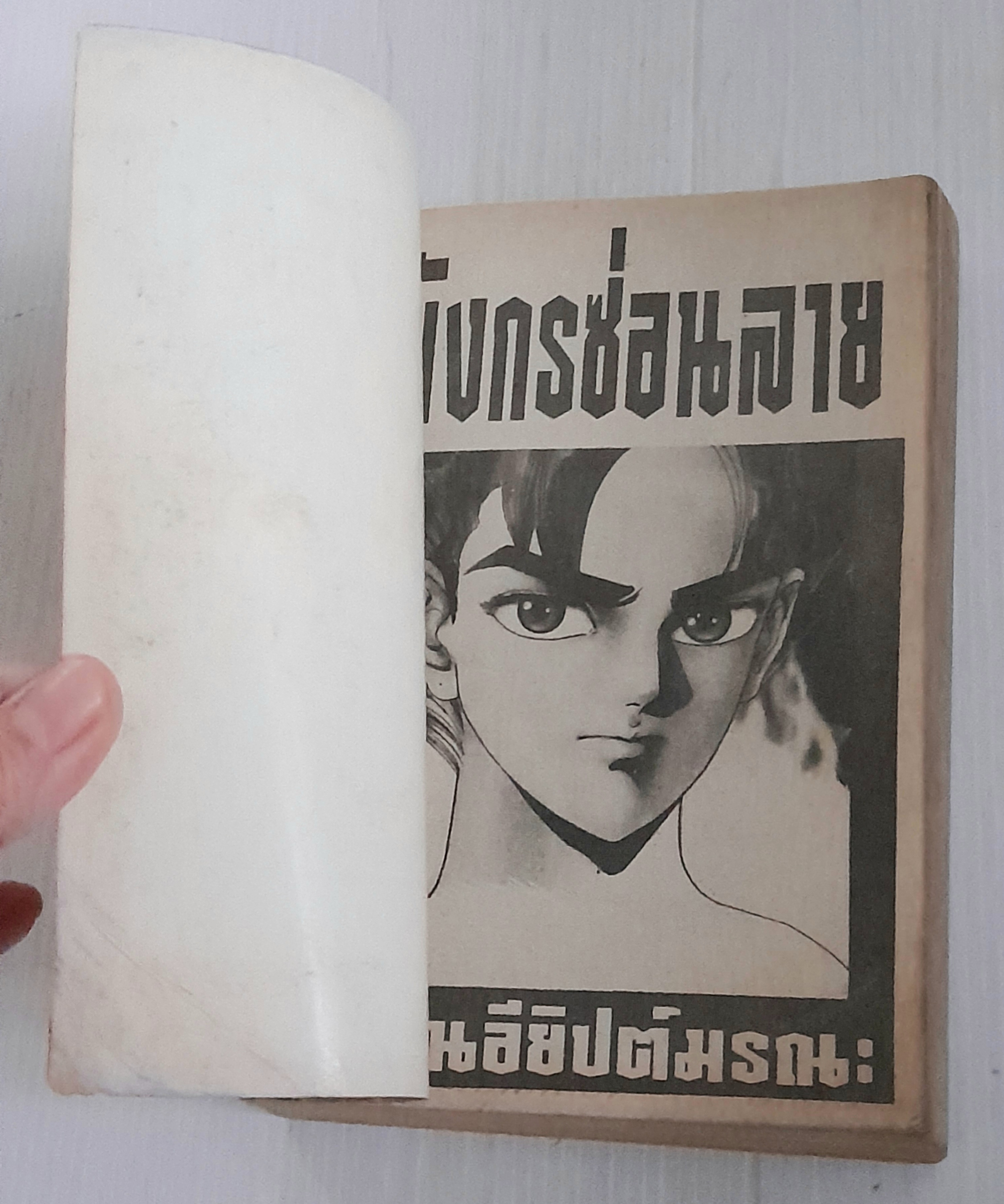 มังกรซ่อนลาย ตอนอียิปต์มรณะ (เล่มเดียวจบ)