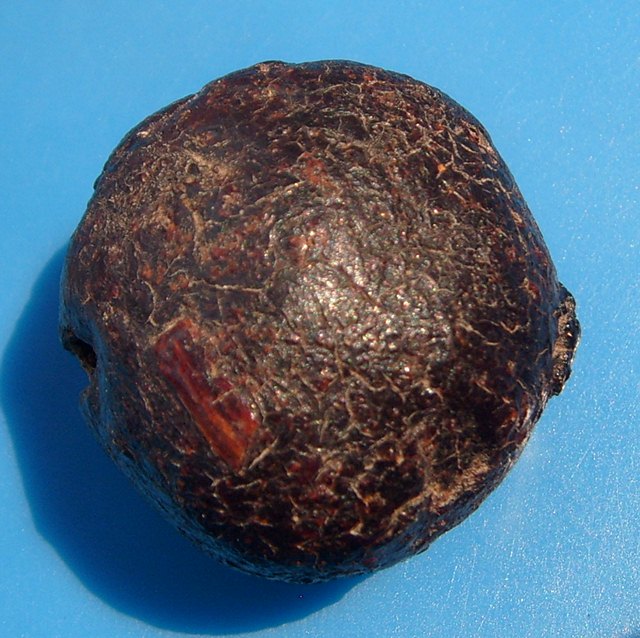 ลูกอมครั่งพุดทรา หลวงพ่อทองศุข วัดตโนดหลวง