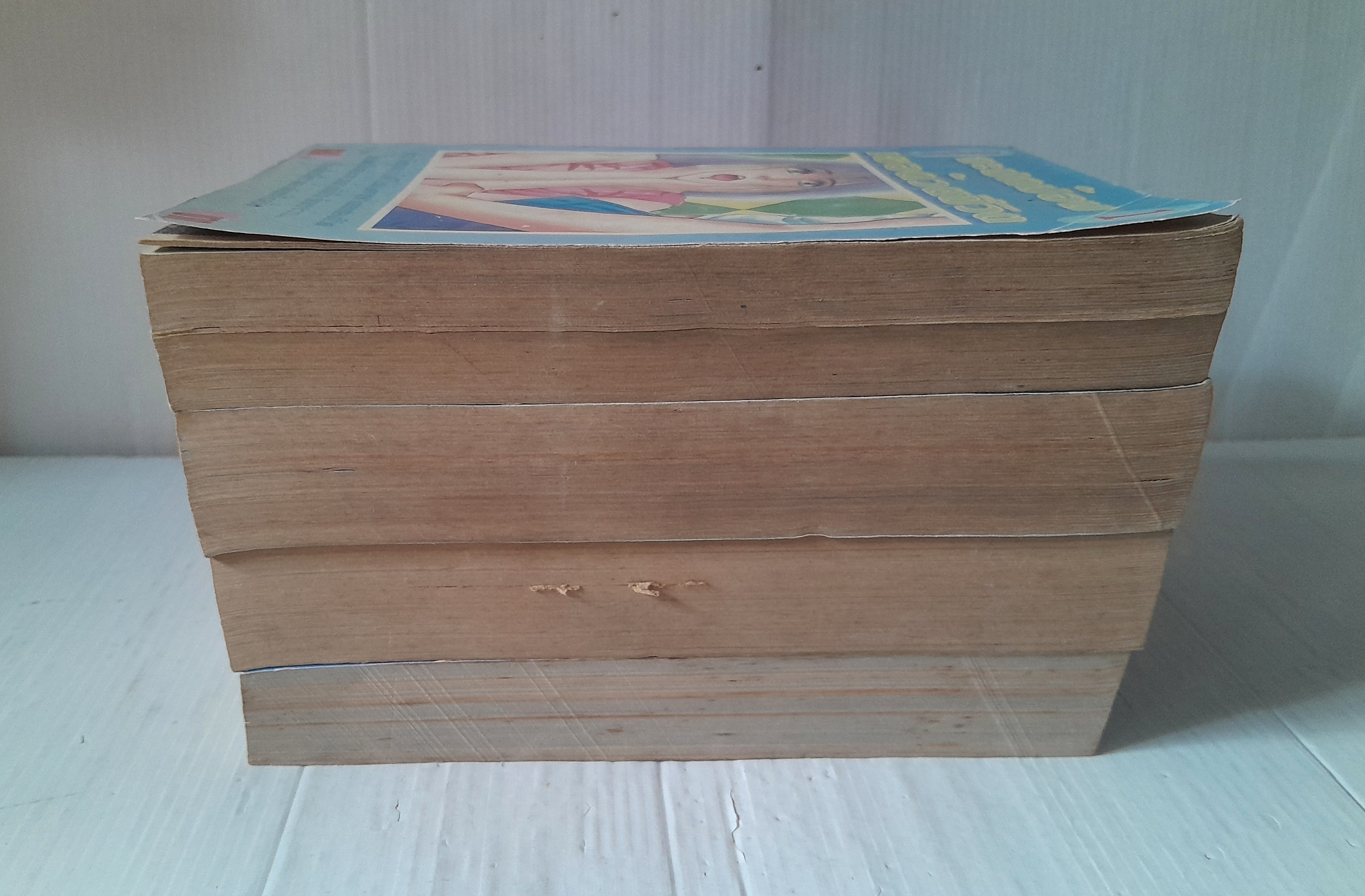 จะปกป้องเธอด้วยชีวิต 4 เล่มจบ