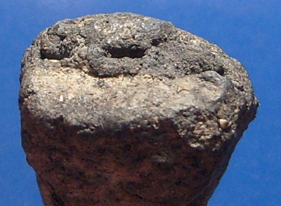 หลวงปู่ทวดเนื้อว่าน