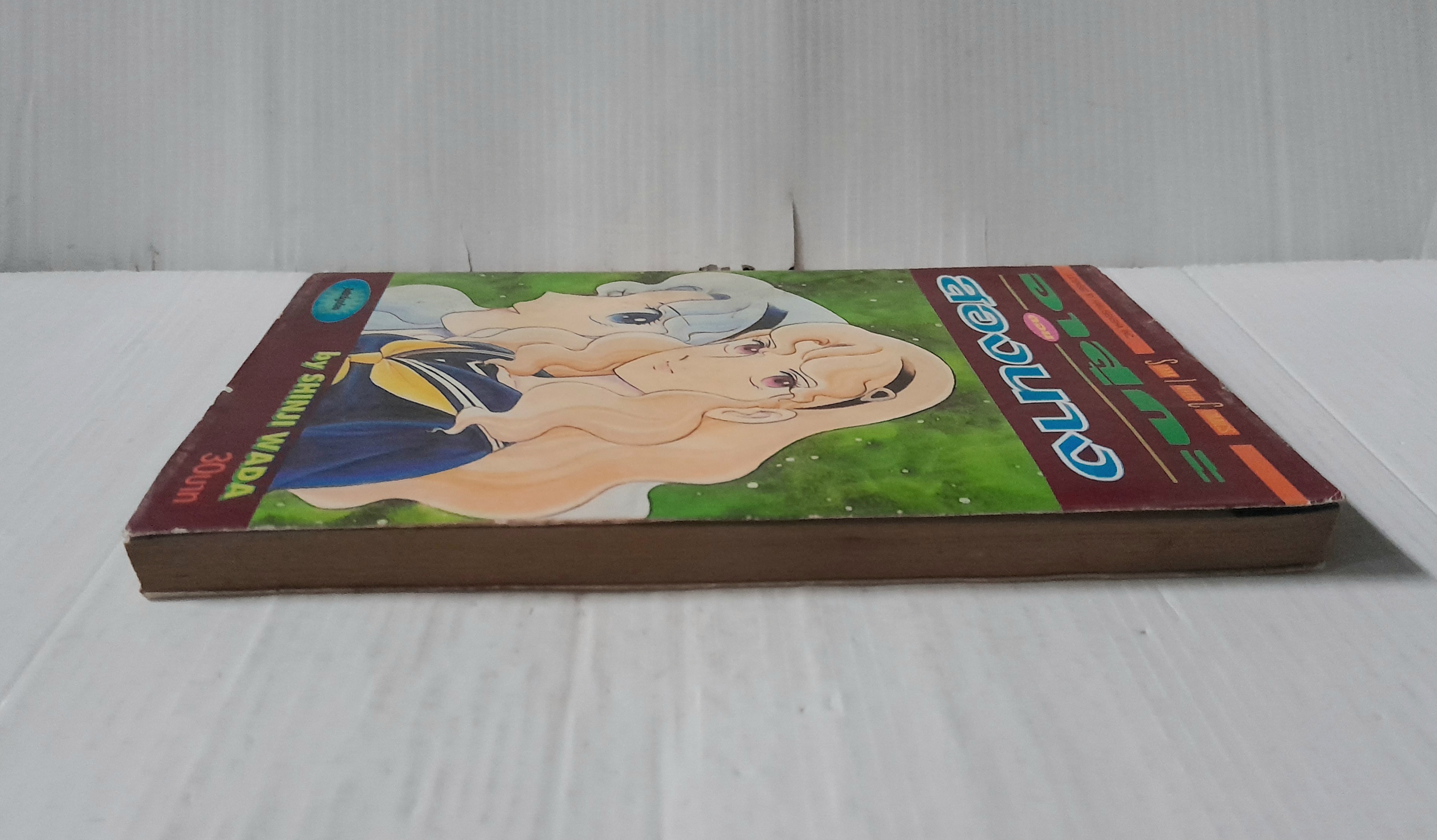 อาสุกะ ตอนสองนาง (เล่มเดียวจบ) / Shinji Wada