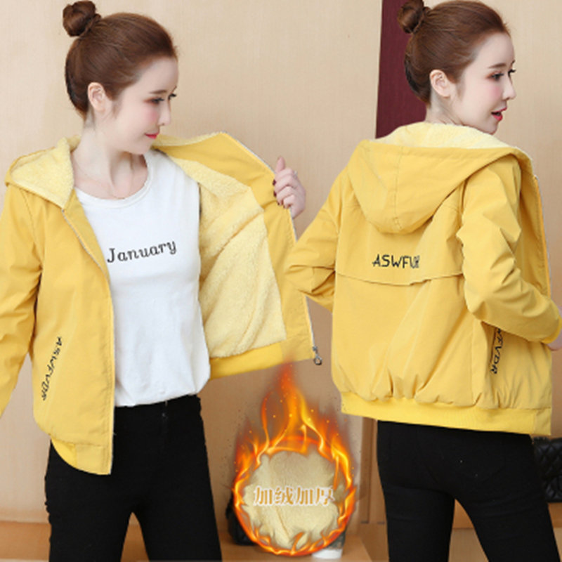 แจ็คเก็ต เสื้อคลุมแจ็คเก็ต