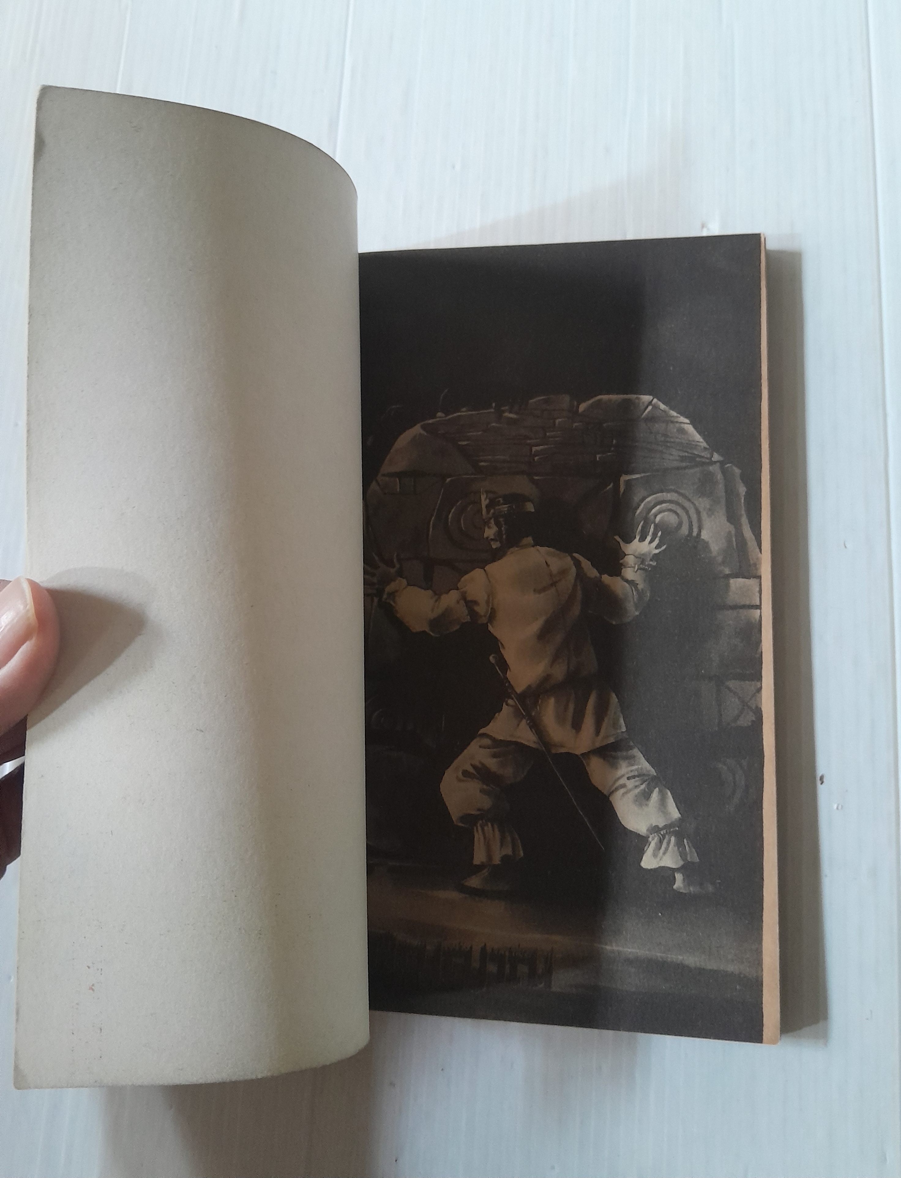 ตำนานท้อกักวิญญาณ (เล่มเดียวจบ) / ยามางิชิ เรียวโกะ