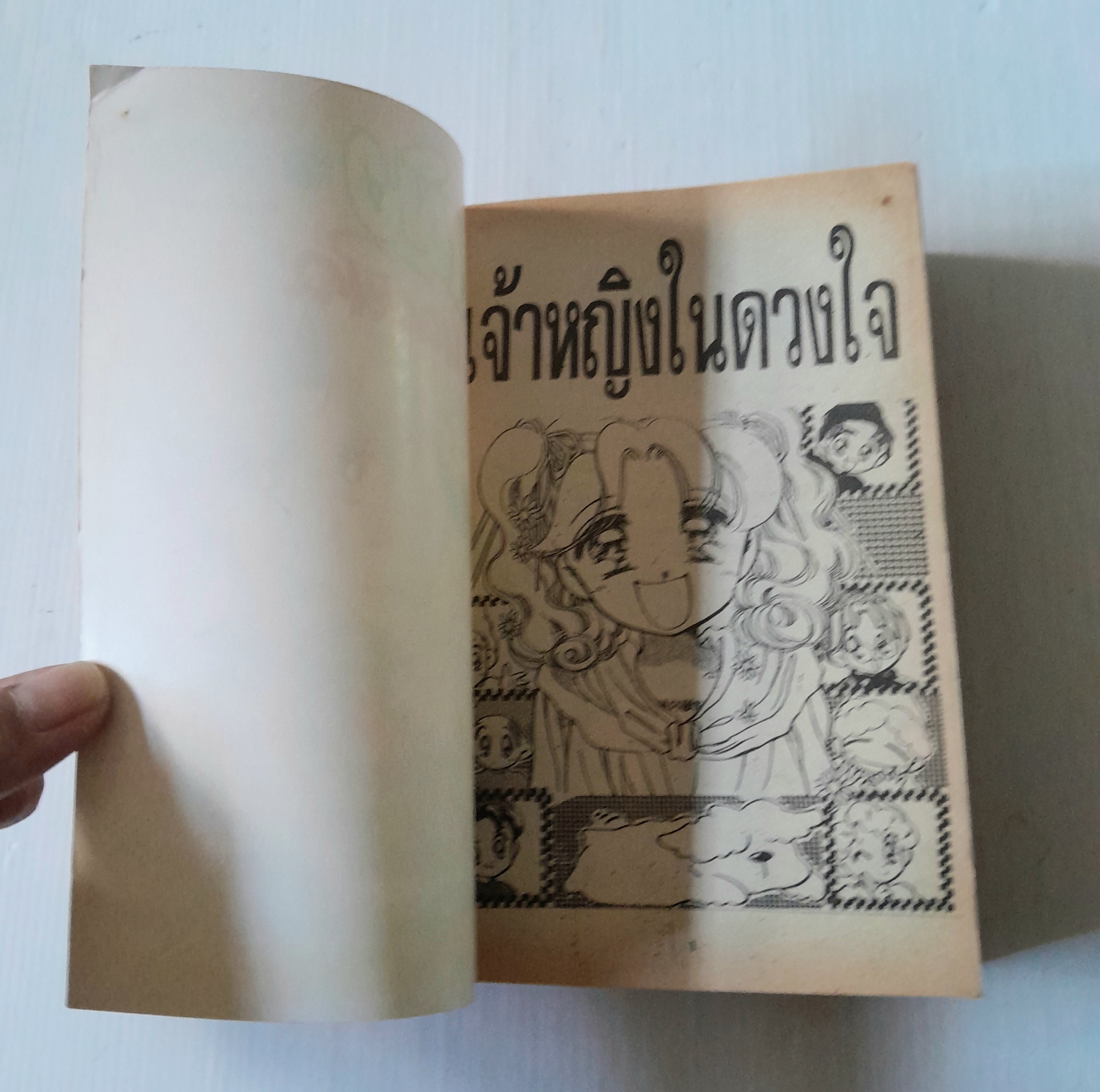 เจ้าหญิงในดวงใจ (เล่มเดียวจบ)