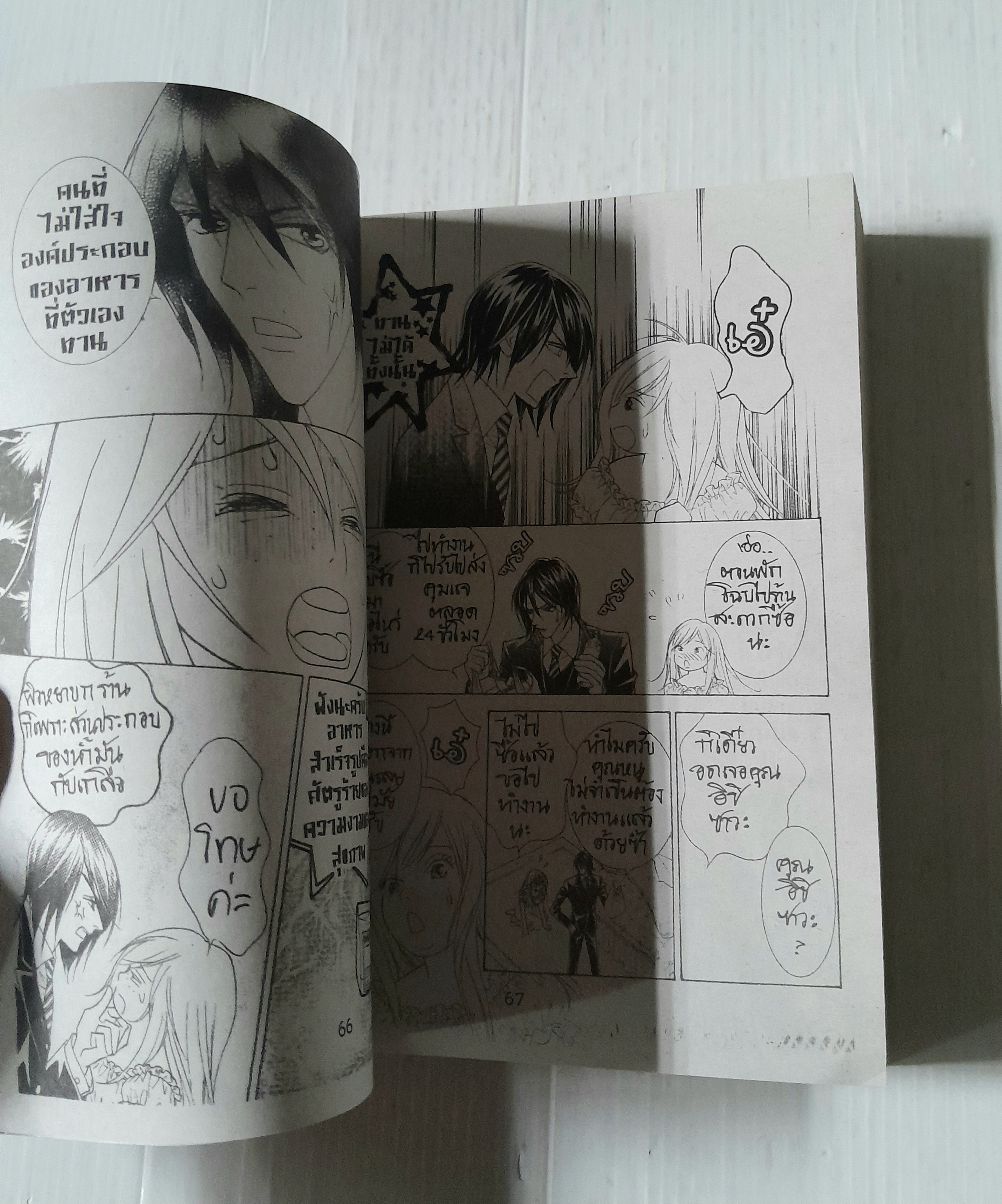 คุณหนูกับทาสหนุ่ม (เล่มเดียวจบ)