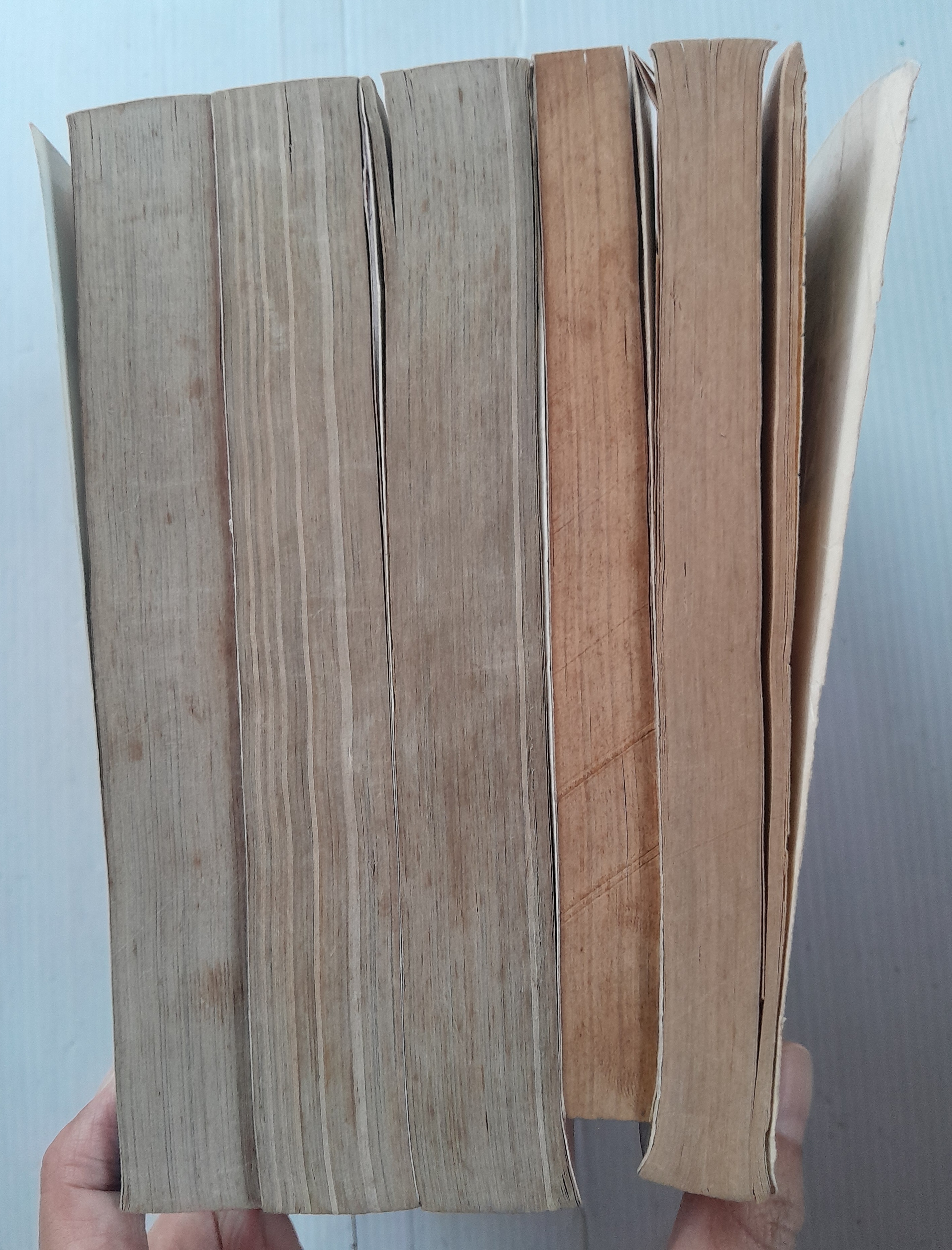 อิจิเงกิ ภาค 1+2 (5 เล่มจบ) / โฮชิม่า