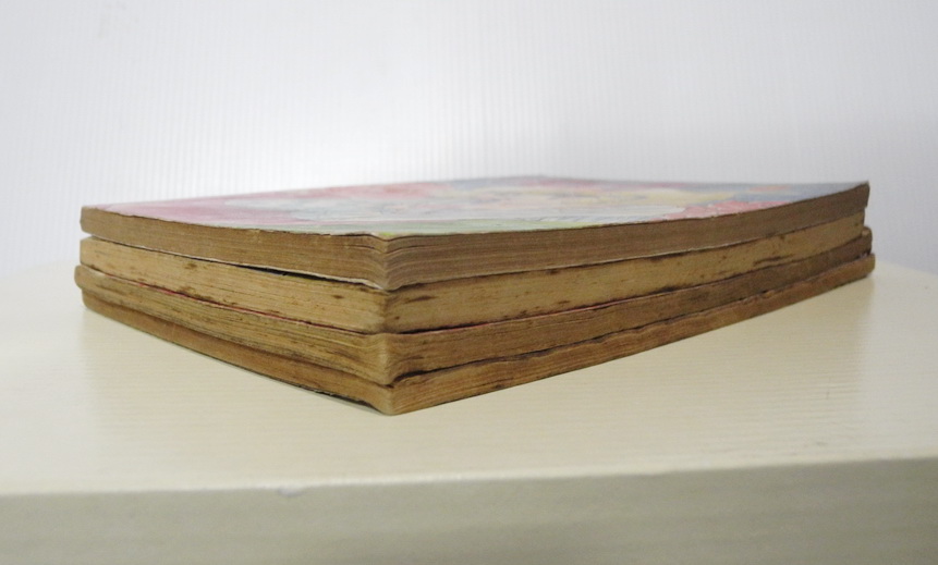 ความฝันสีชมพู / เล่มเดียวจบ