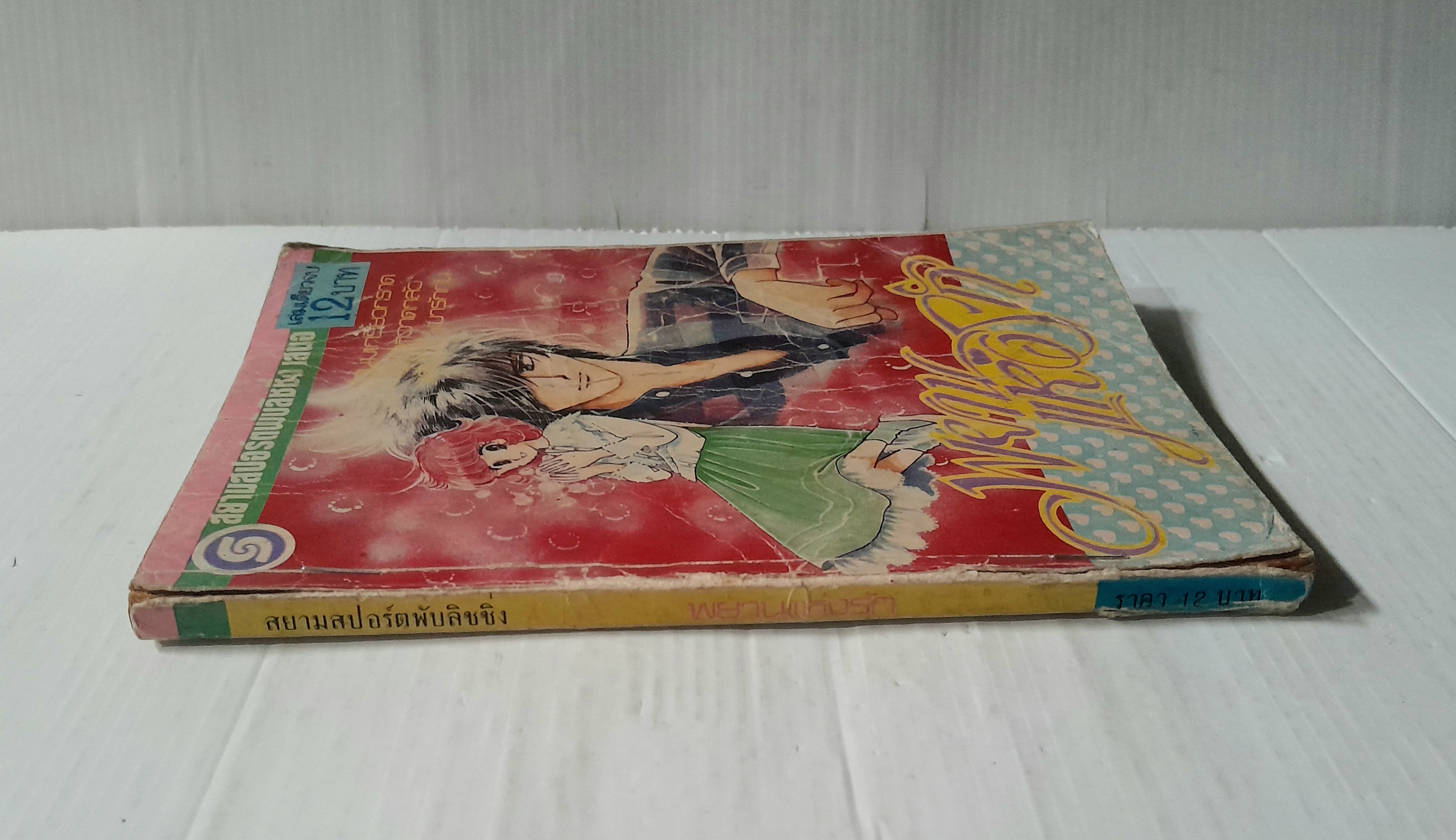 พยานแห่งรัก (เล่มเดียวจบ) / ฮิคาวะ เคียวโกะ