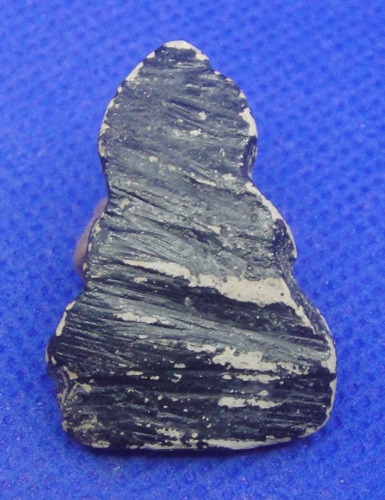 หลวงตาจวน ฐิติโก วัดไก่เตี้ย