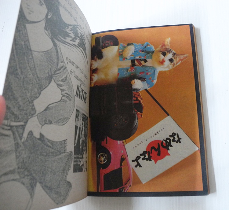 ยอดรักจอแก้ว เล่ม 3 (7 เล่มจบ) / Shibata Ayako.