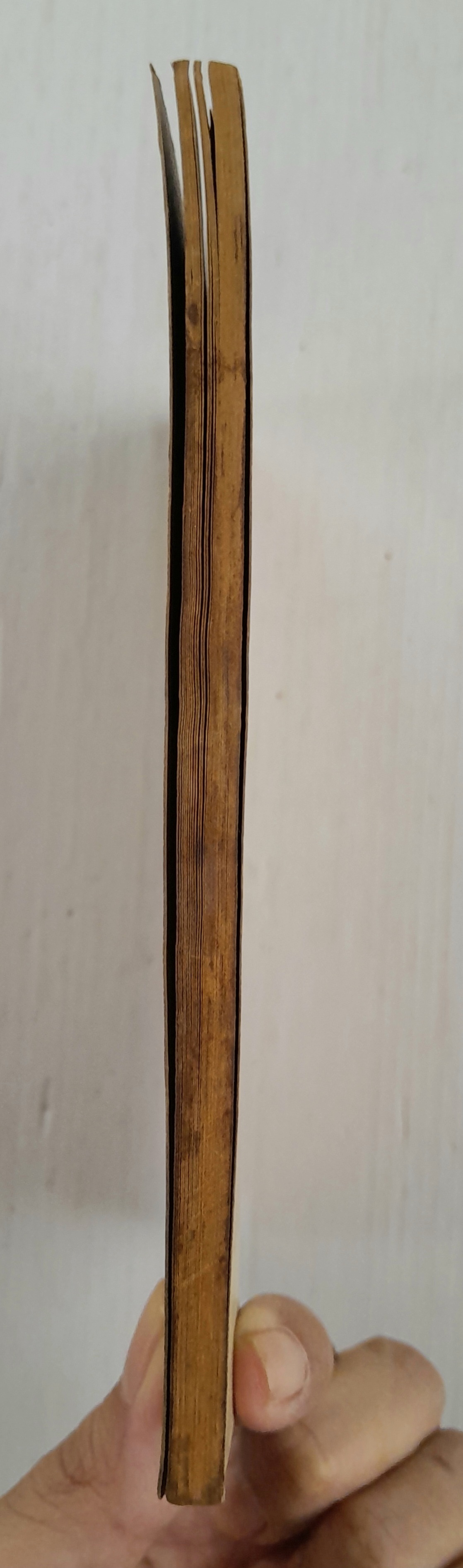 สาวทอมบอย (เล่มเดียวจบ)