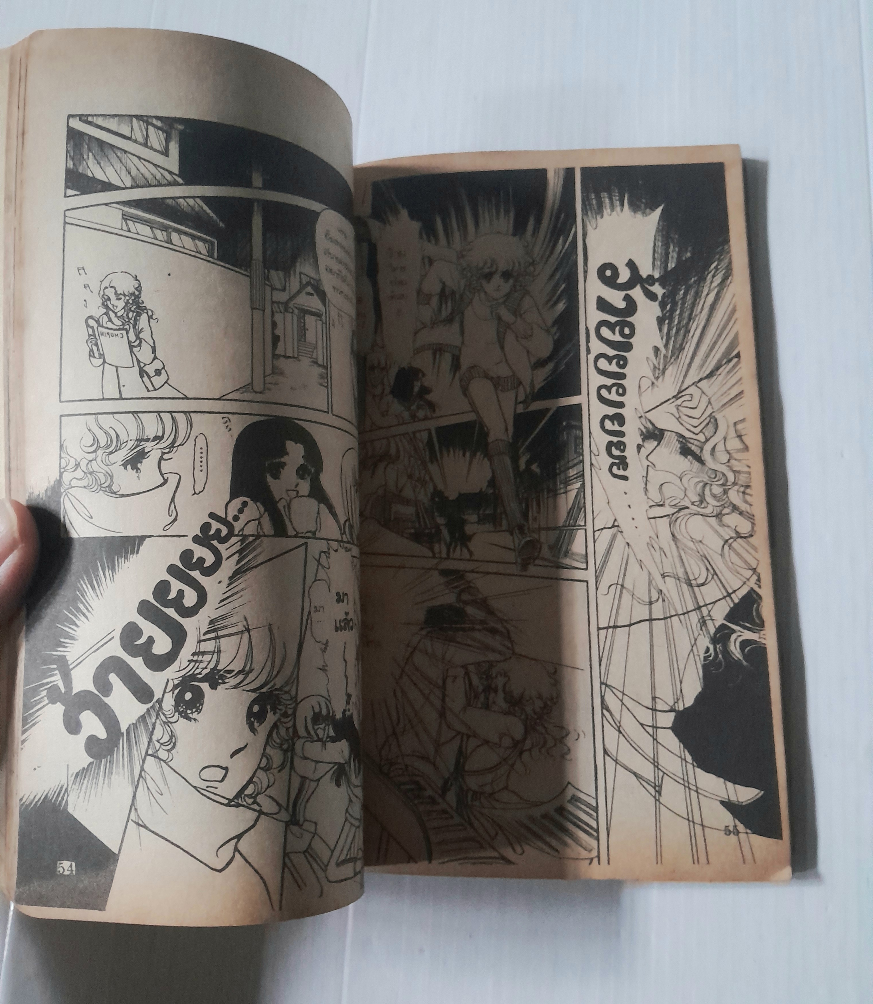 รักต้องทำลาย (เล่มเดียวจบ)