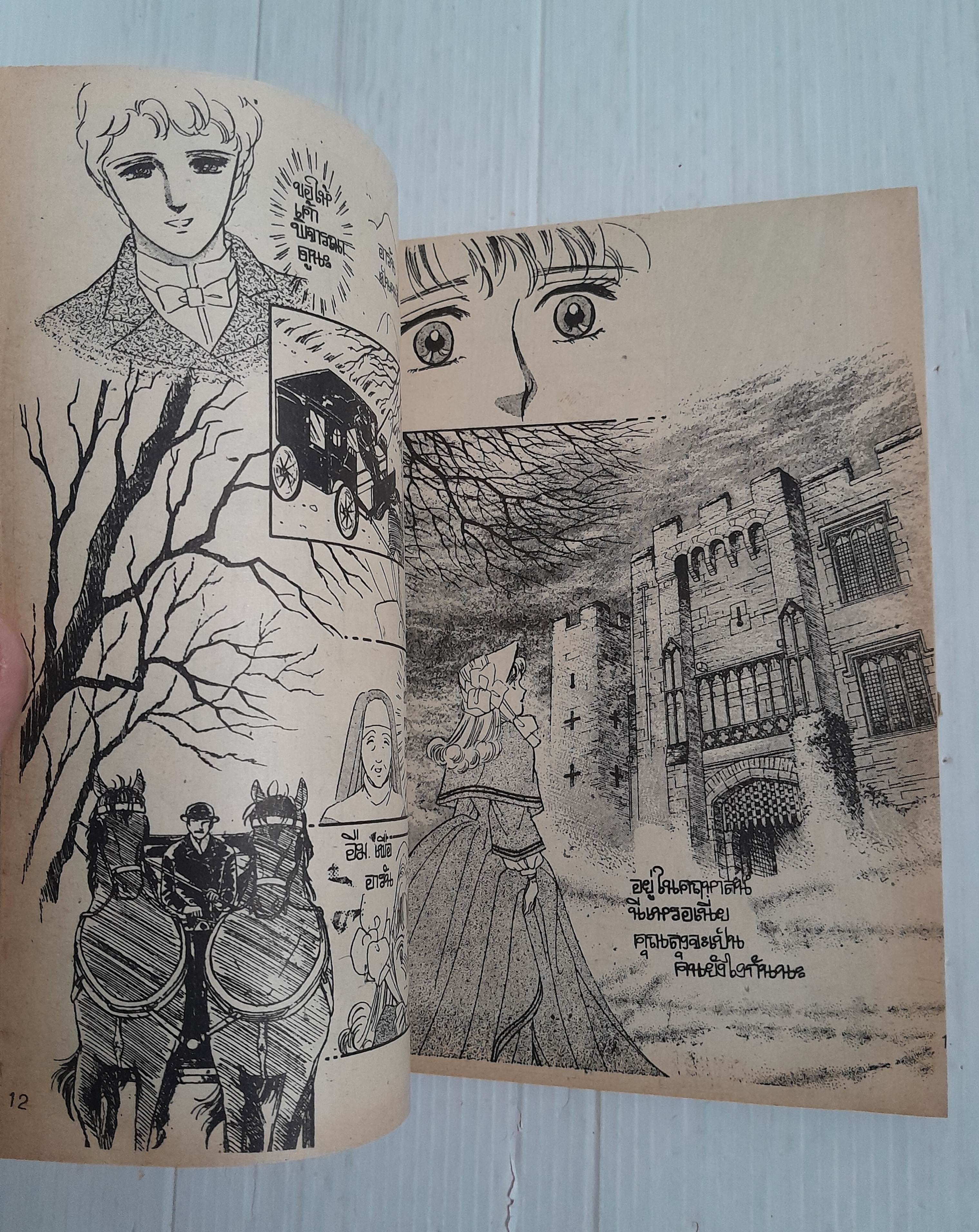 รักในรอยแค้น (เล่มเดียวจบ) / Hanabusa Yoko