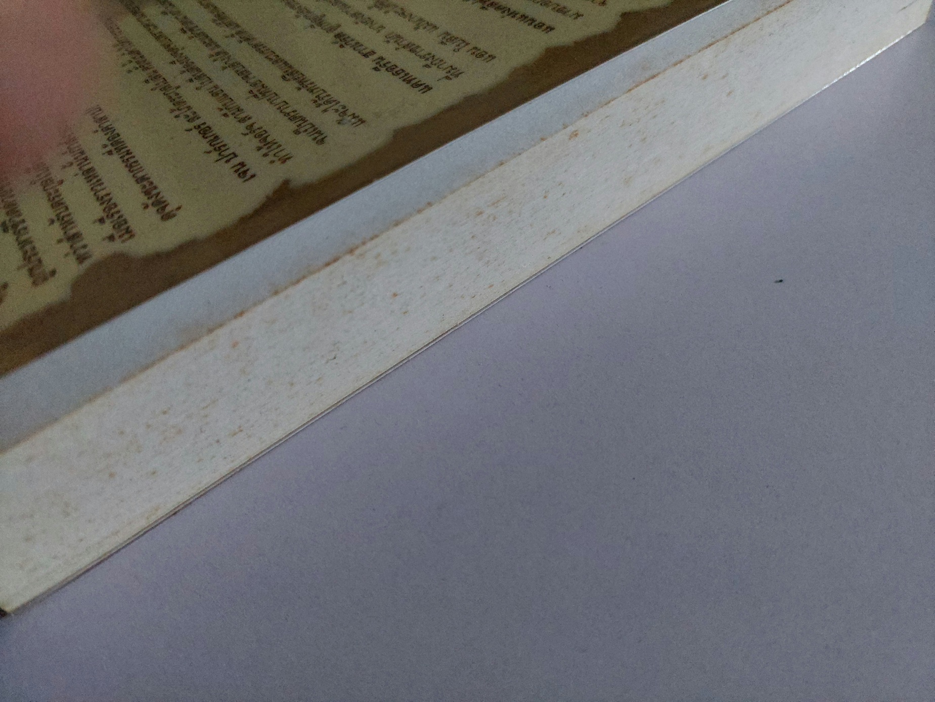 มรดกเลือดตระกูลโบลีน The Boleyn Inheritance / Philippa Gregory / มณฑารัตน์ ทรงเผ่า