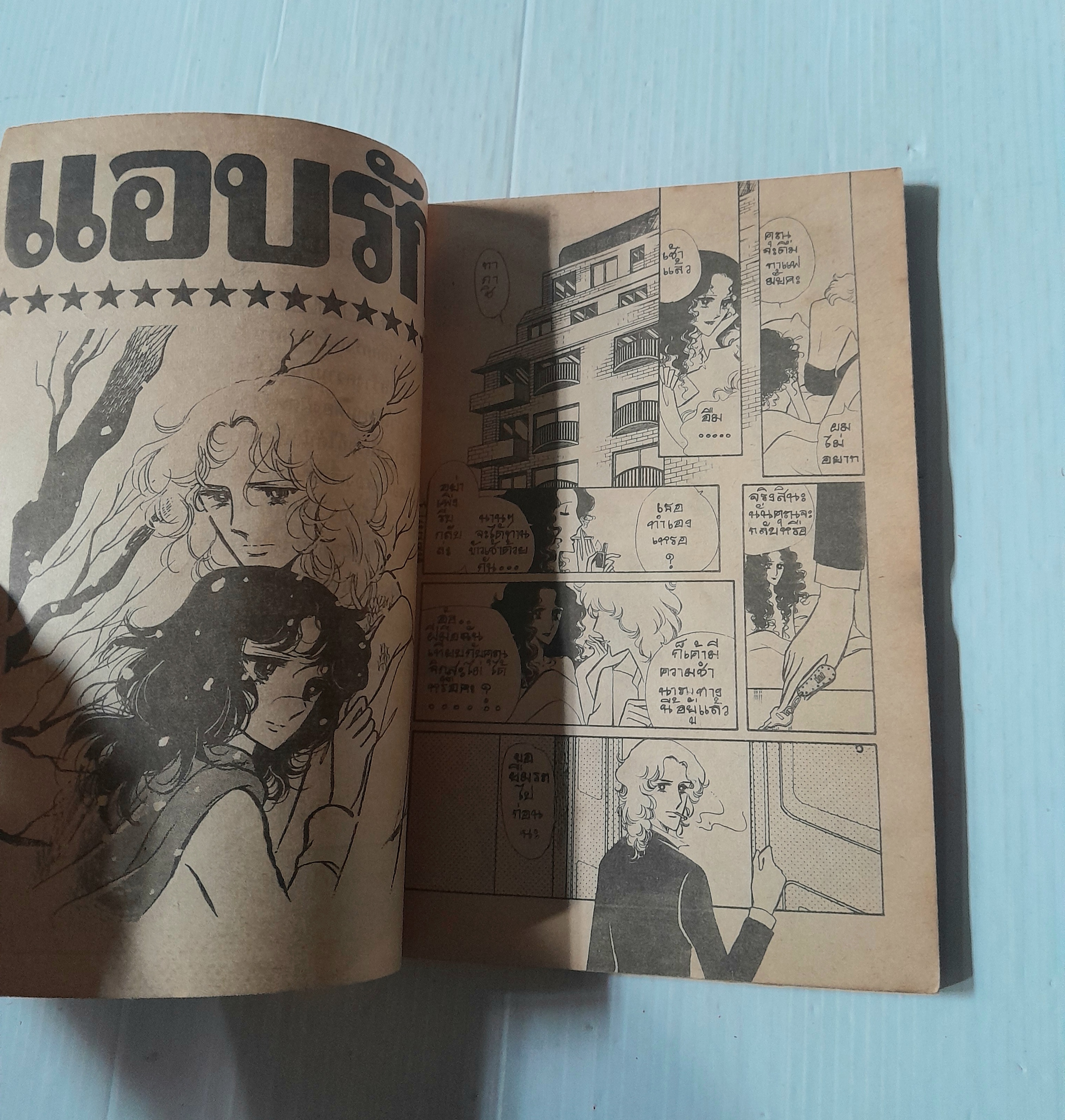 แอบรัก (เล่มเดียวจบ)