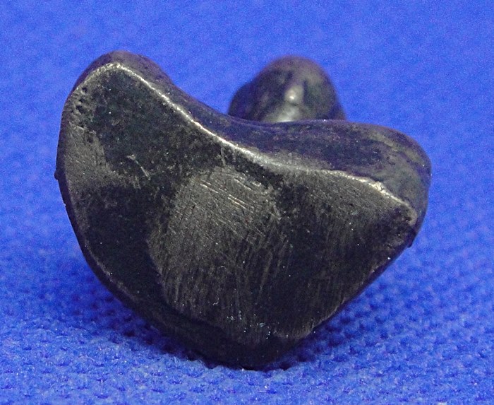 หลวงปู่หิน วัดหนองสนม ระยอง