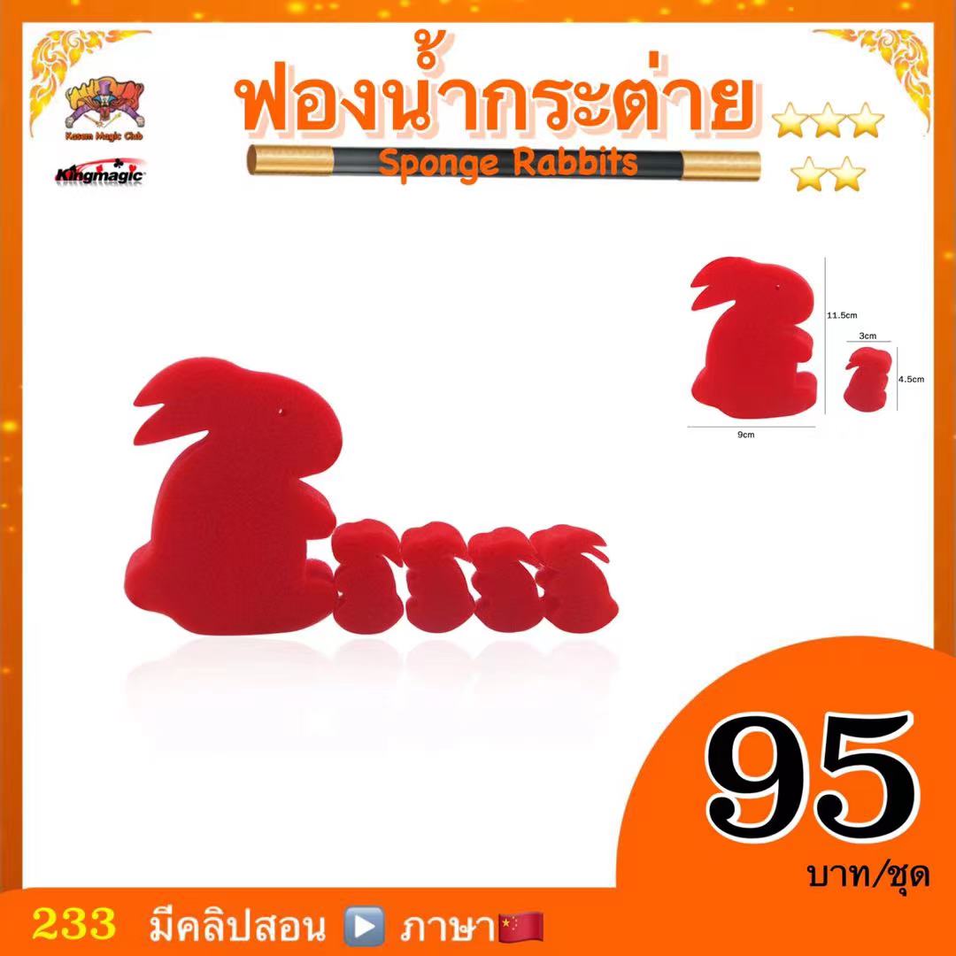 ฟองน้ำกระต่าย ใหญ่ (Jumbo sponge rabbit)