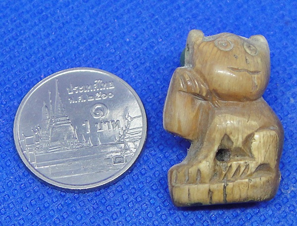 เสือ เขี้ยวเสือแกะ