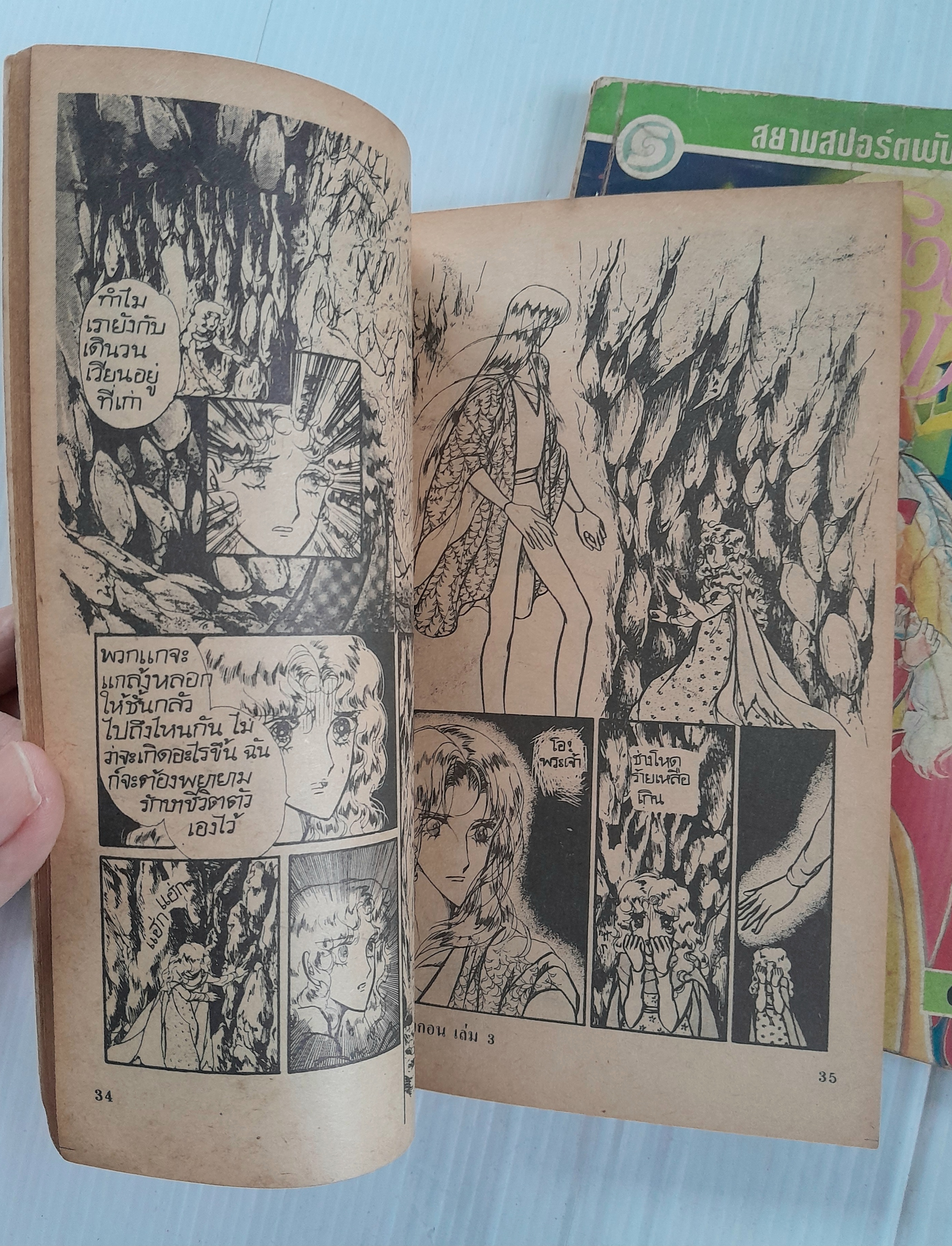 ฟลาวเวอร์ดราก้อน 3 เล่มจบ / Nakayama Seika