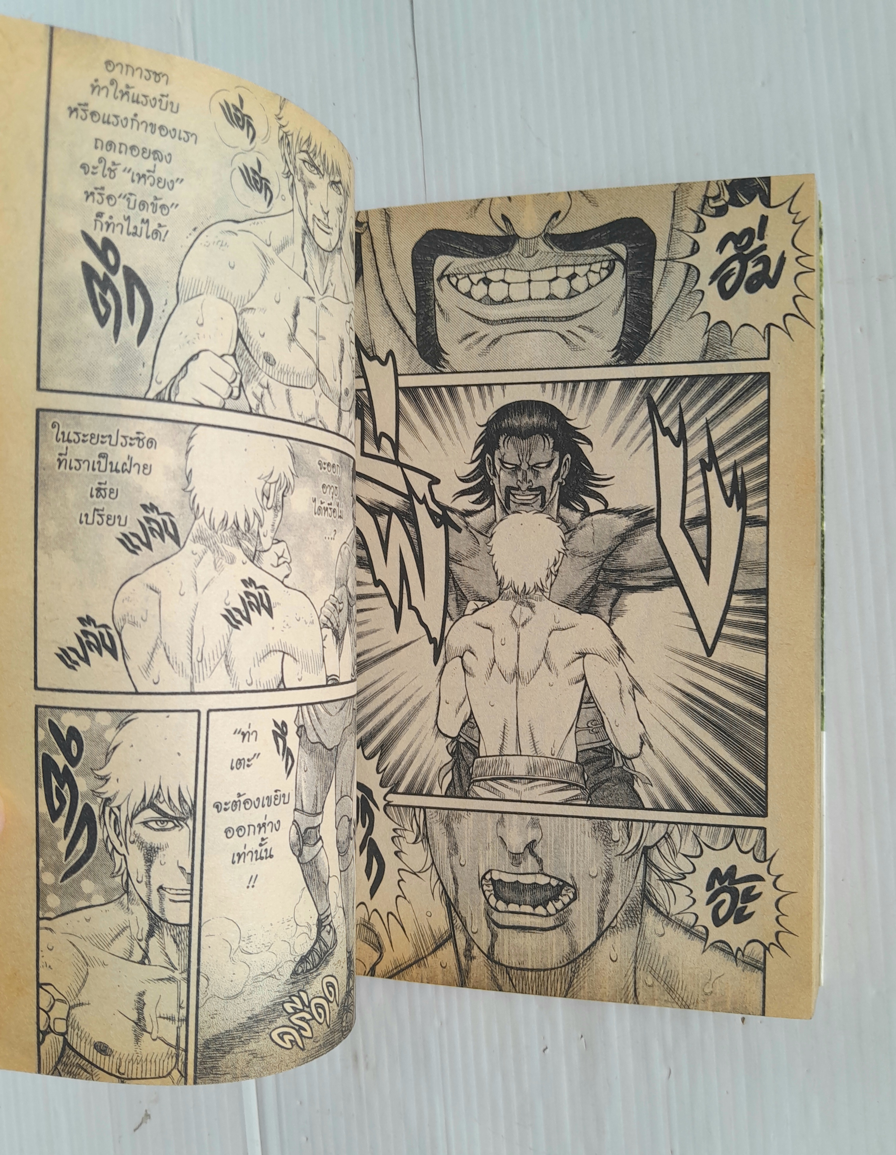 จอมหมัดสนับเหล็ก เซสทัส เล่ม 15 (15 เล่มจบ) / ชิซึระ วาซาไร