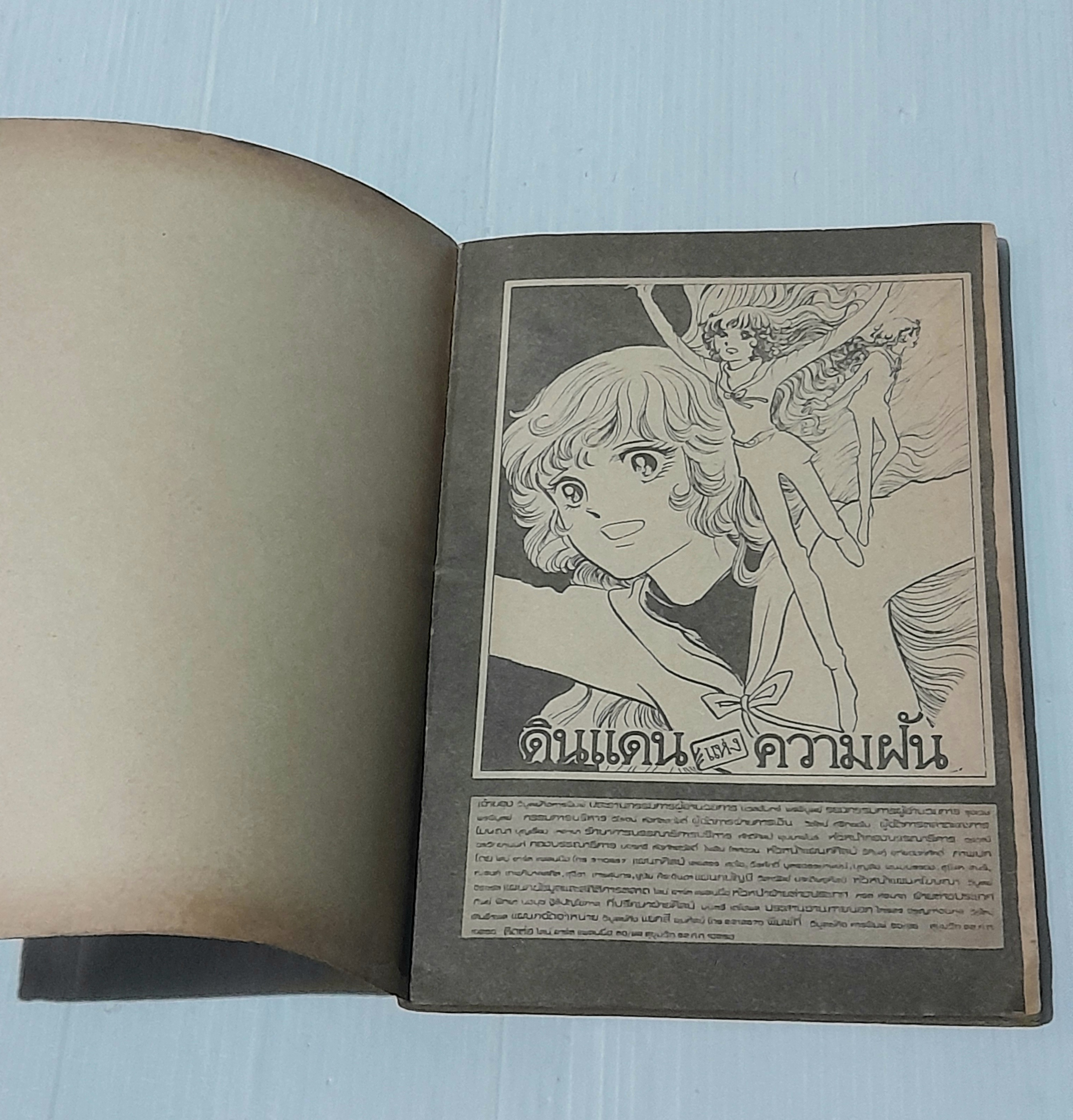 ดินแดนแห่งความฝัน (เล่มเดียวจบ)