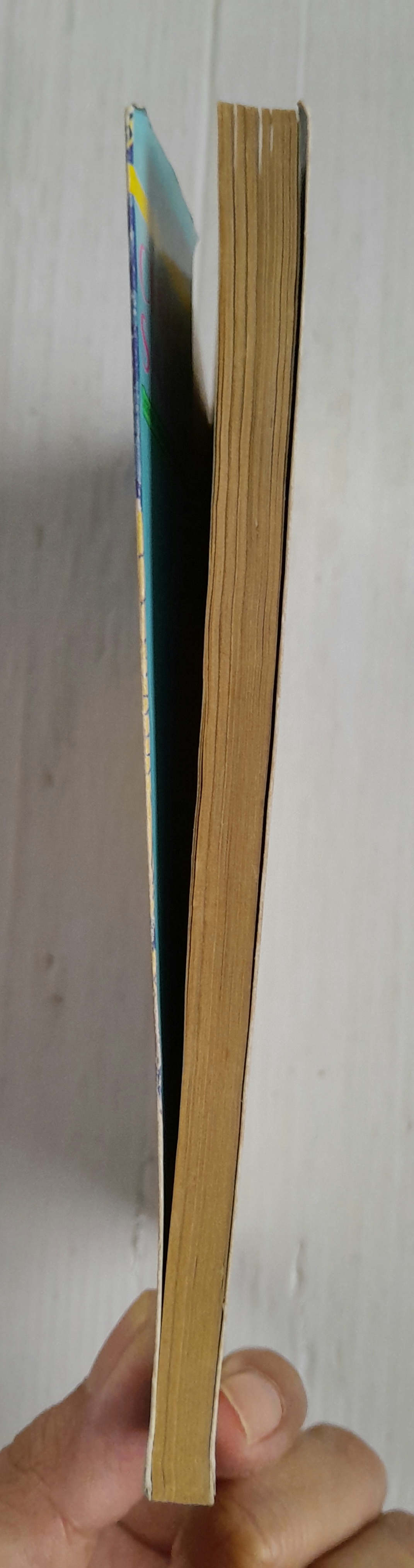 ลักพาฉันไปสิ! ที่รัก (เล่มเดียวจบ) / ไซโต้ จิโฮ