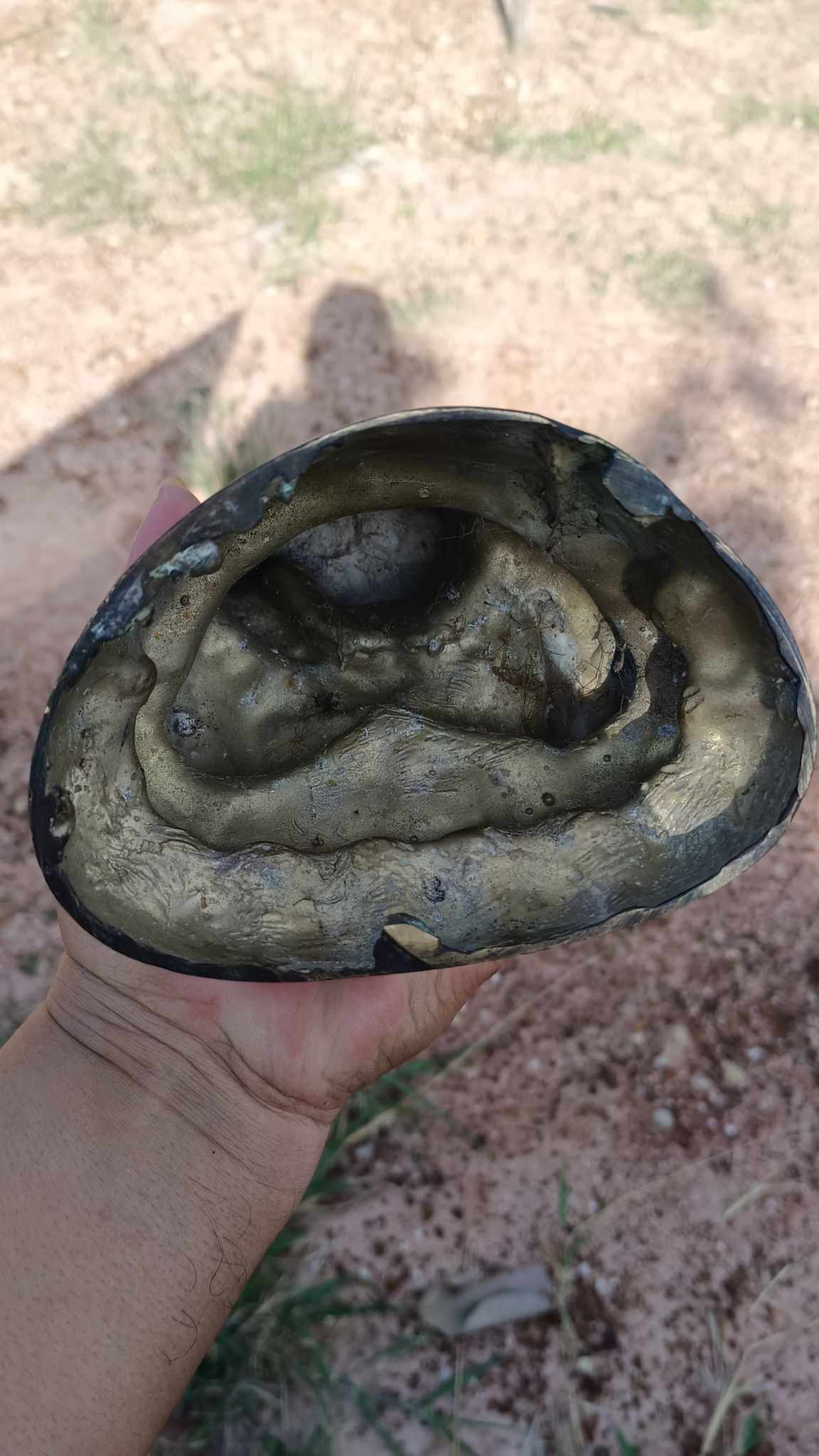 พระกริ่ง เสาร์ห้า๕ ธมฺมวิตกฺโก