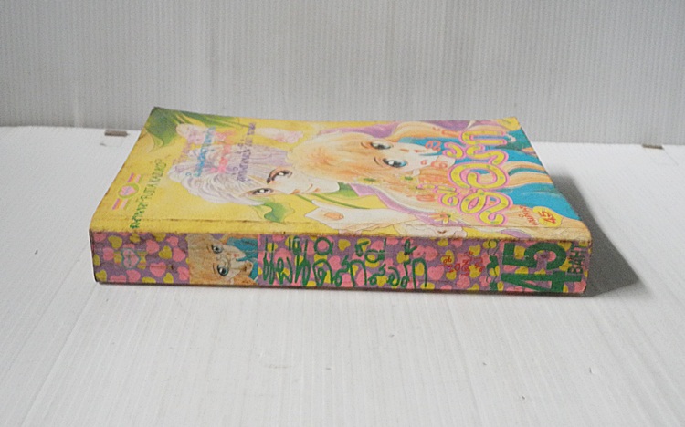 แผ่นดิสก์สื่อรัก ( เล่มเดียวจบ ) / Fujita Kazuko