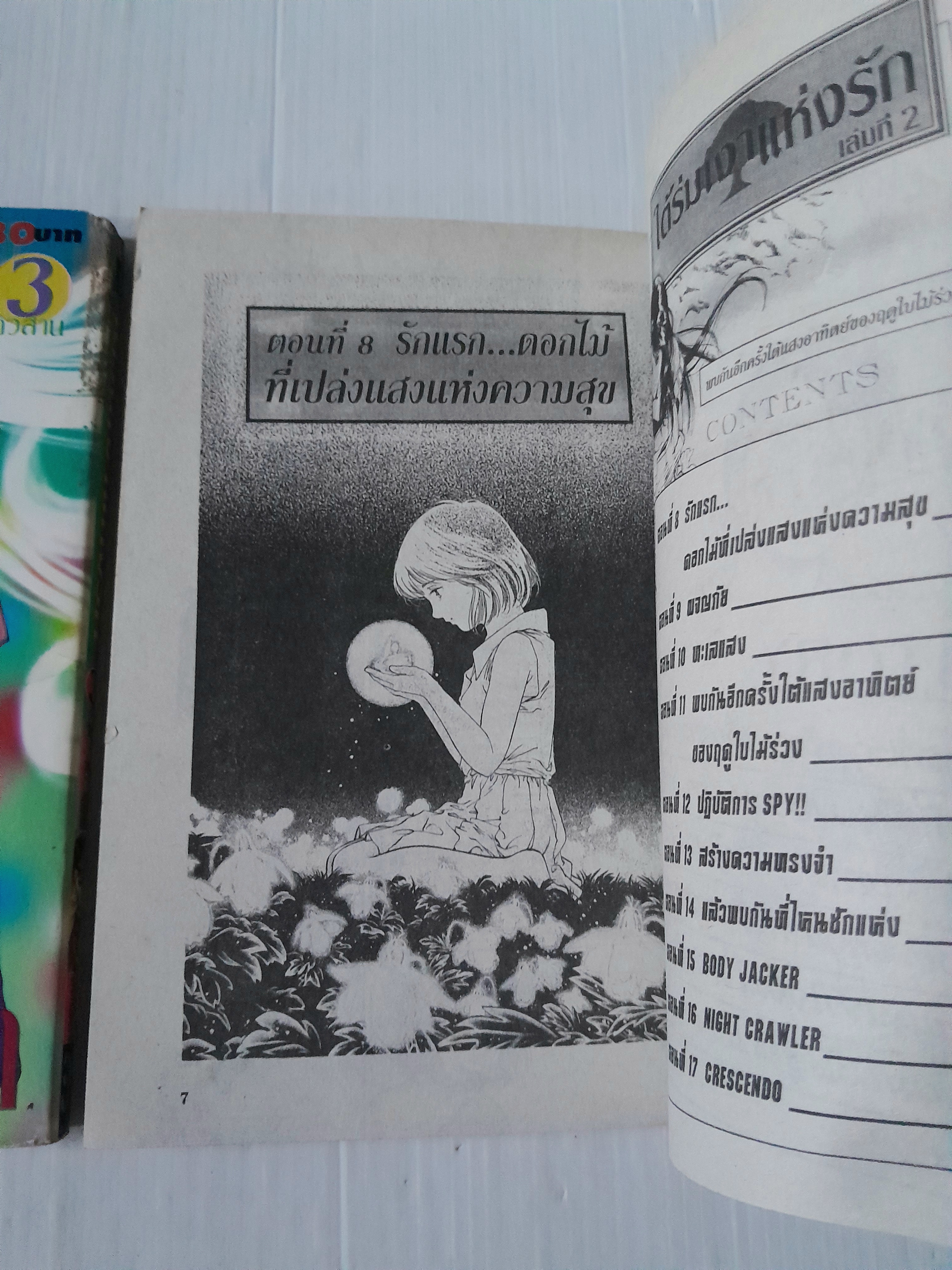 ใต้ร่มเงาแห่งรัก 3 เล่มจบ / Tsukasa Hojo